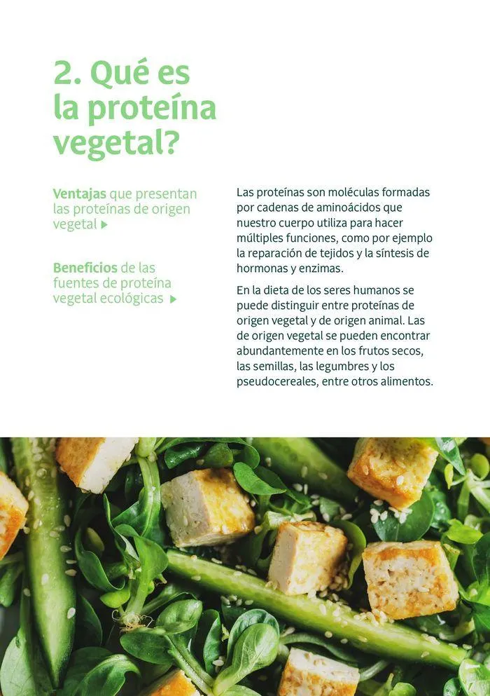 Catálogo de Veritas Guía vegana 2 de septiembre al 31 de diciembre 2024 - Página 4