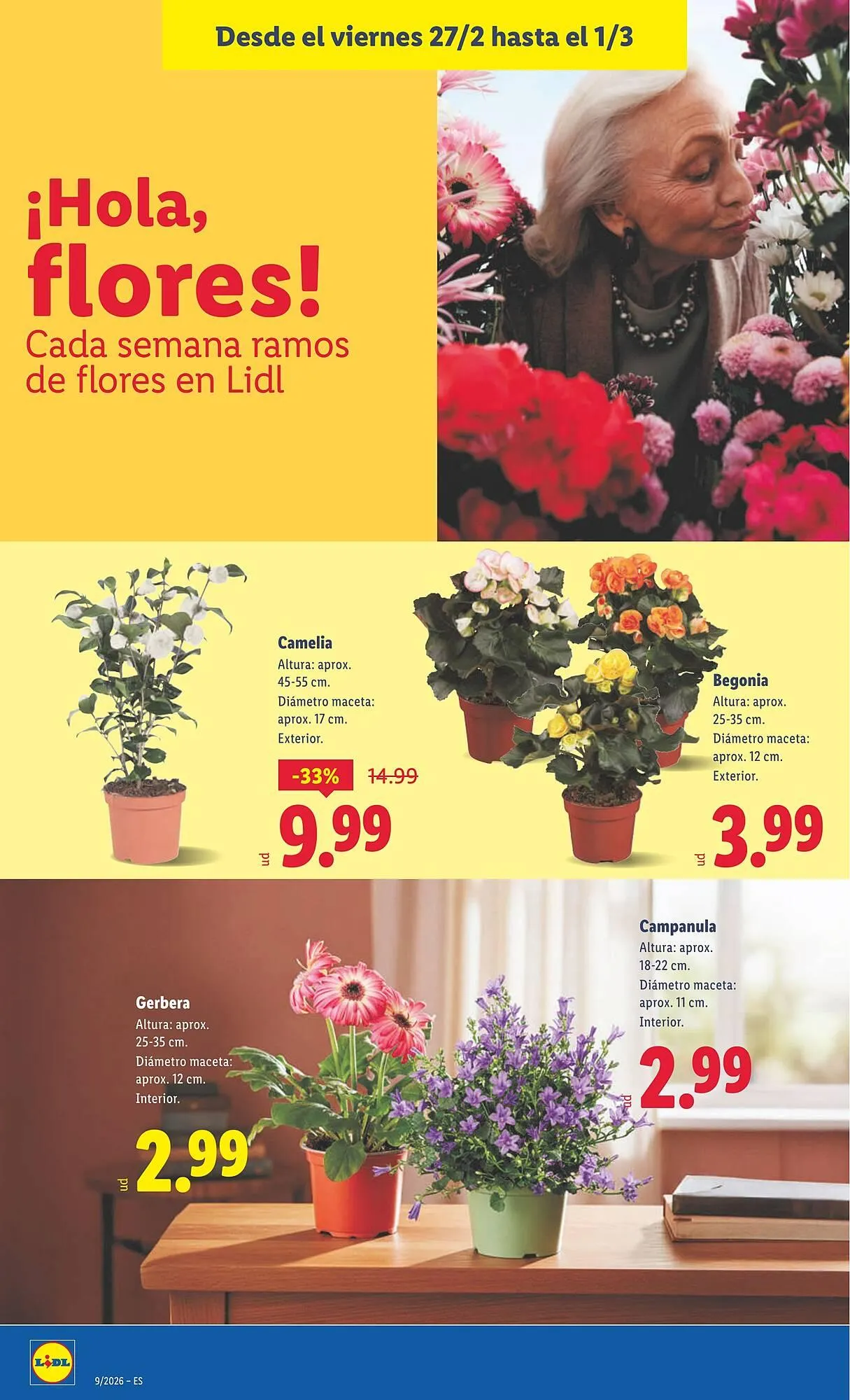 Catálogo de Catálogo Lidl 23 de febrero al 1 de marzo 2026 - Página 36