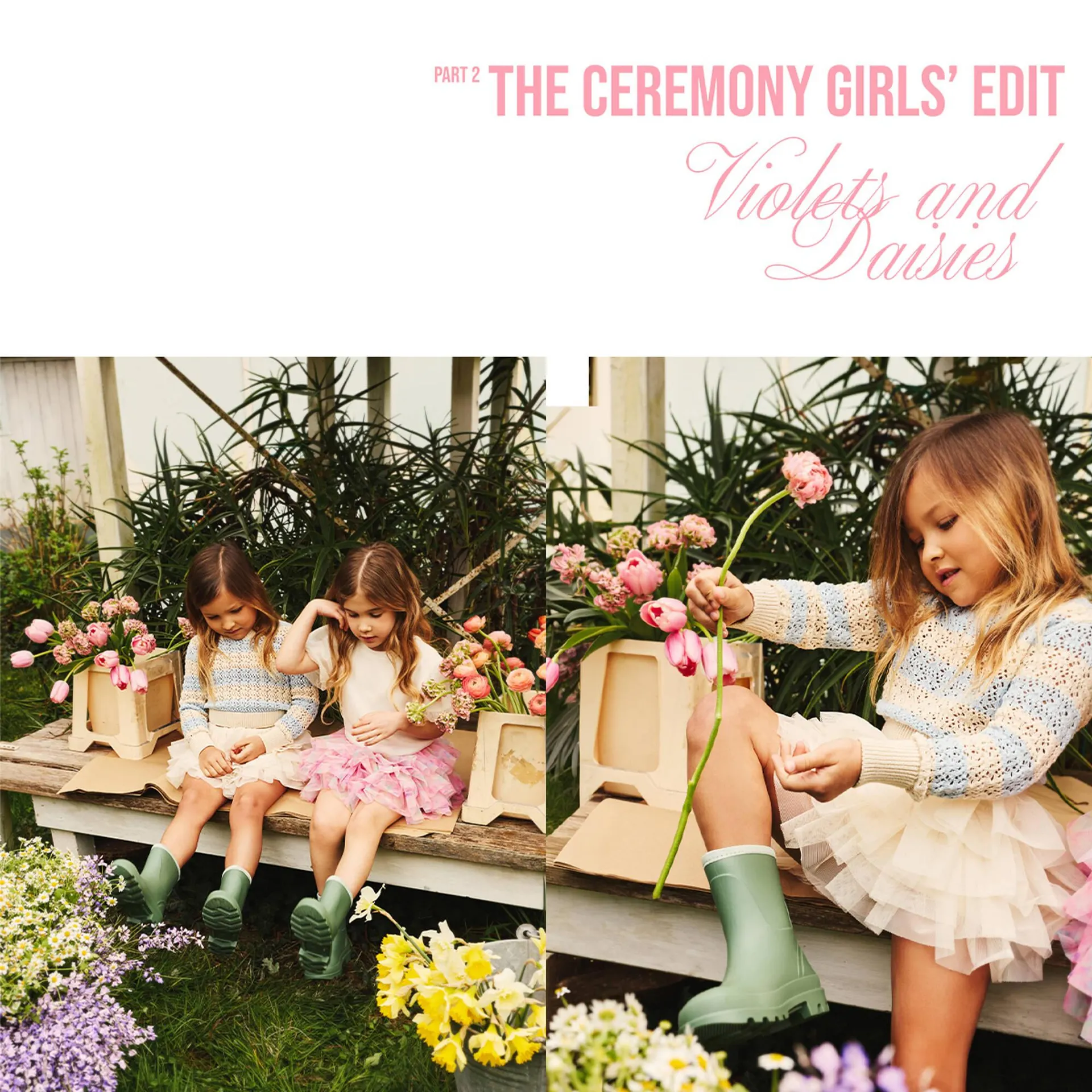 Folleto Terranova - 1