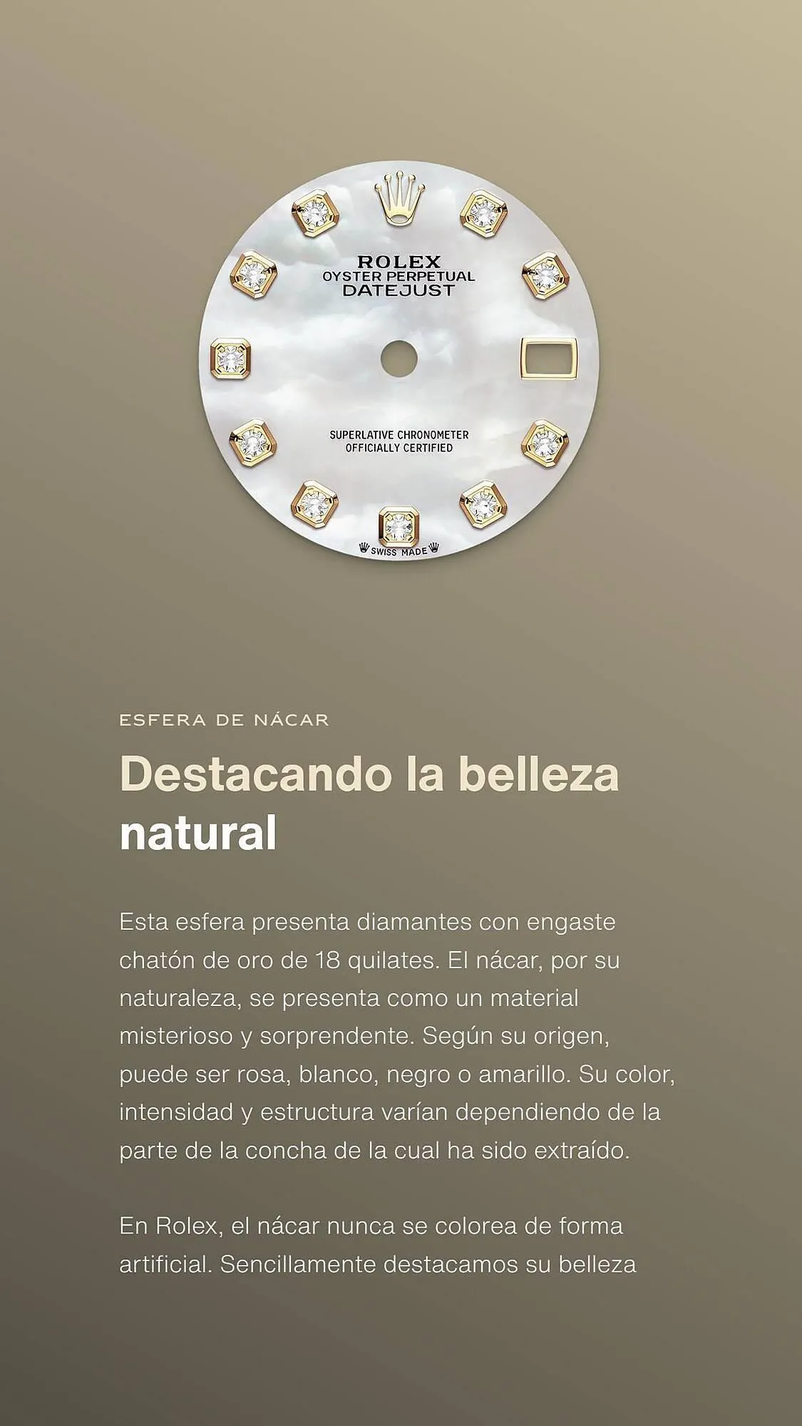 Catálogo de Folleto Rolex 4 de agosto al 28 de noviembre 2023 - Página 3