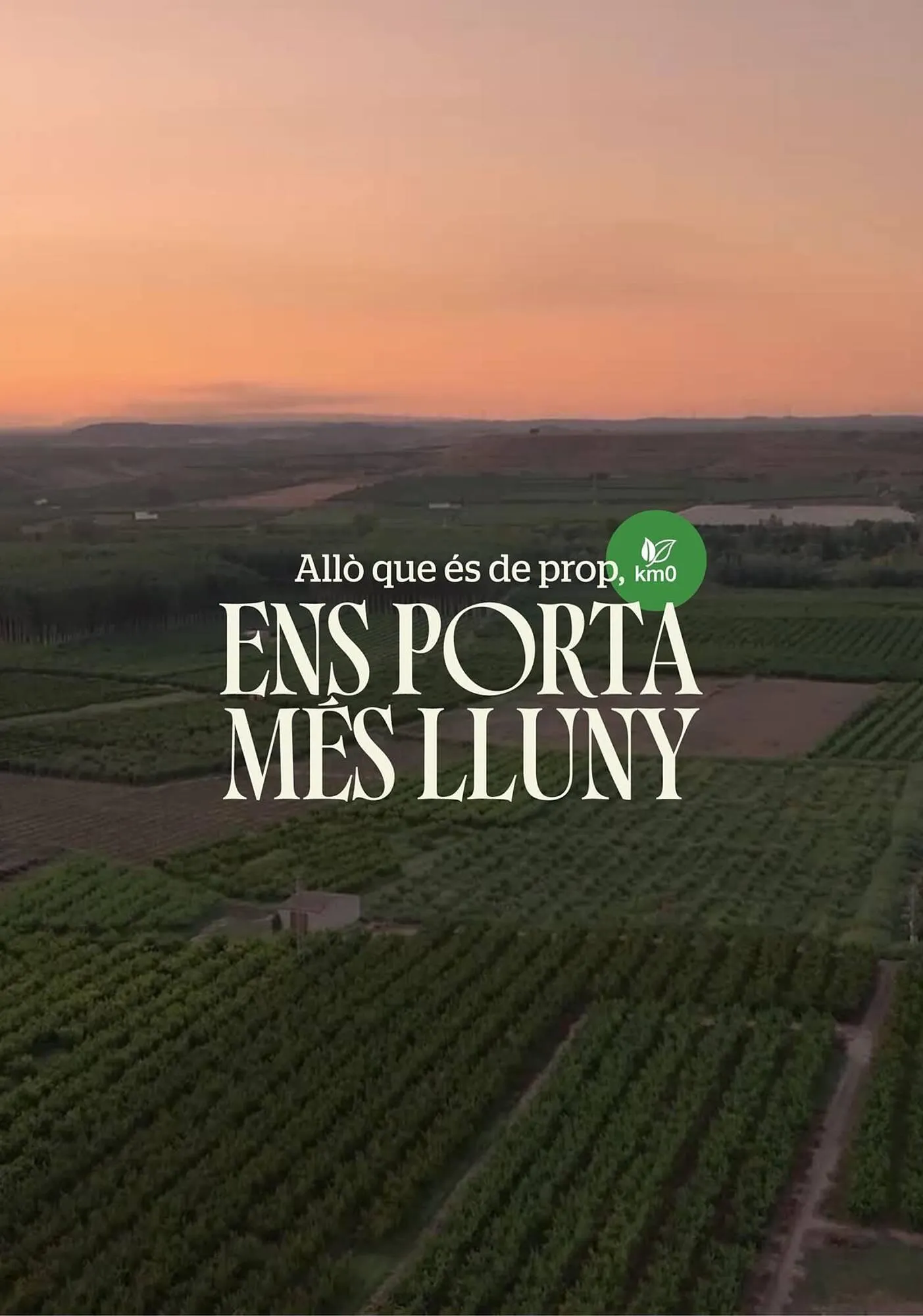 Catálogo de Folleto BonpreuEsclat 30 de enero al 30 de junio 2026 - Página 37