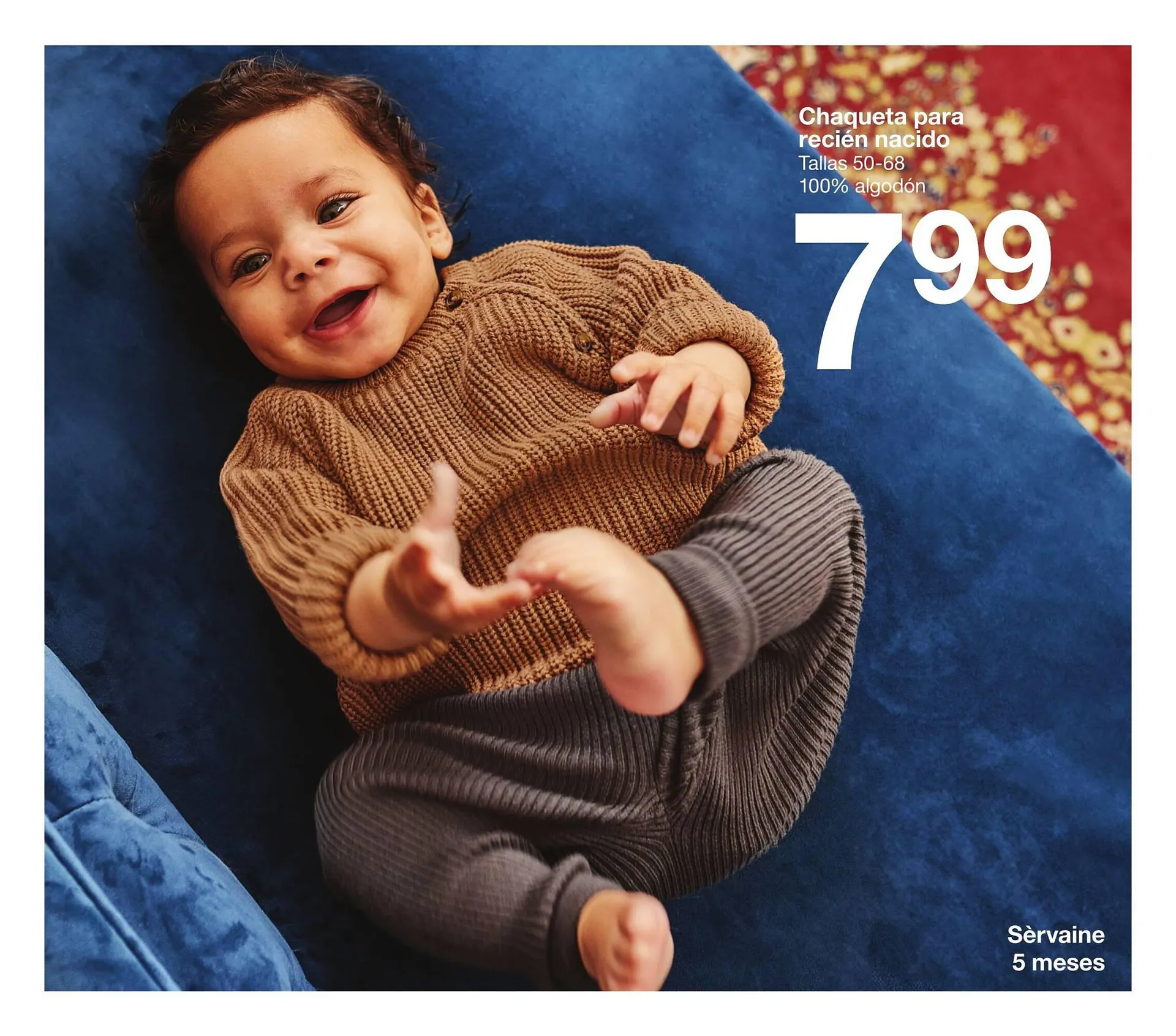 Catálogo de Folleto Zeeman 3 de noviembre al 17 de noviembre 2023 - Página 13