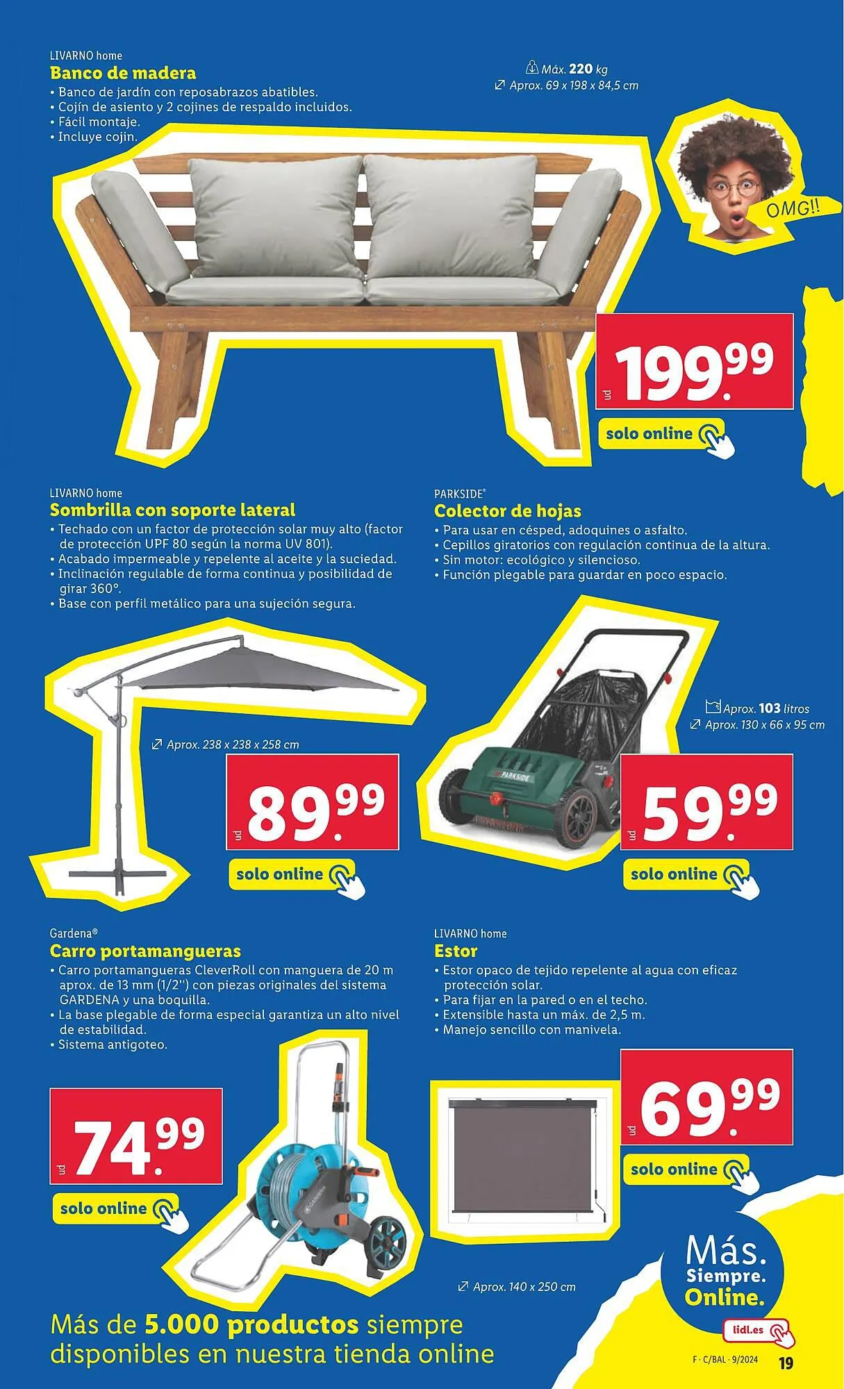 Catálogo de Folleto Lidl 26 de febrero al 3 de marzo 2024 - Página 43