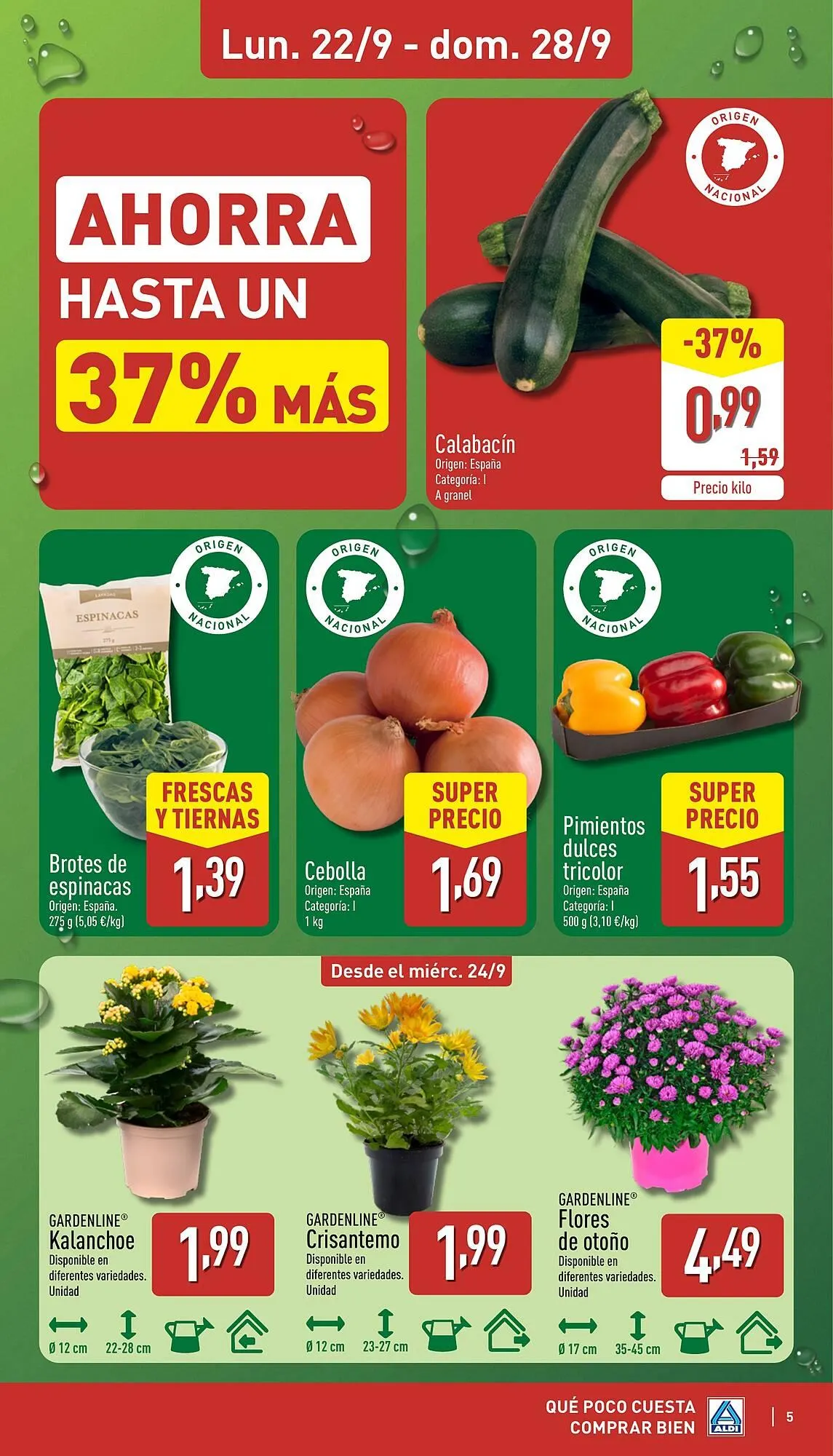 Catálogo de Folleto ALDI 22 de septiembre al 28 de septiembre 2025 - Página 5