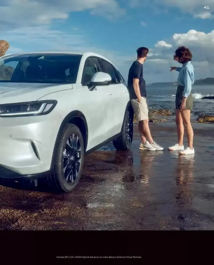 Catálogo de Catálogo ZR-V 6 de marzo al 30 de junio 2025 - Página 41