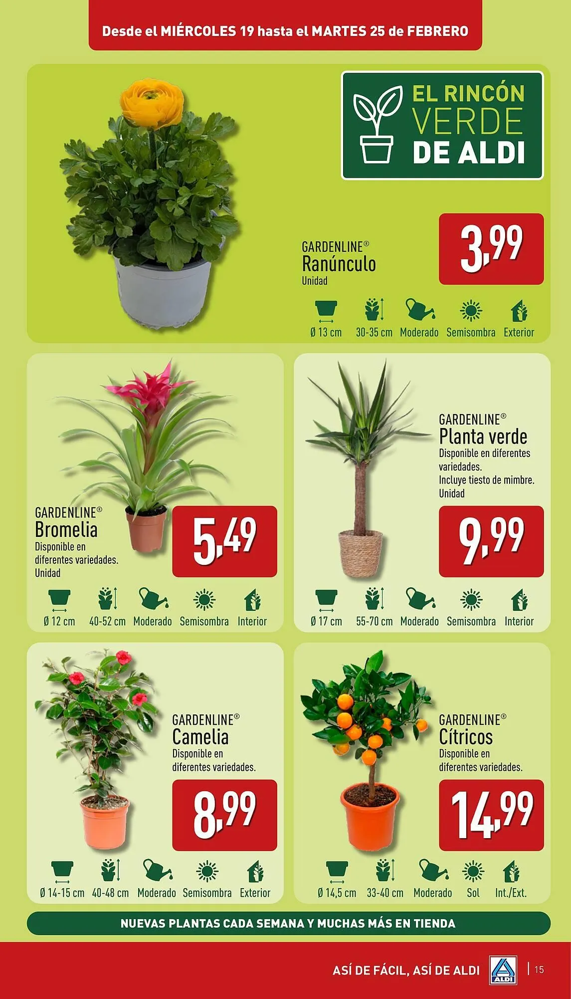 Catálogo de Folleto ALDI 19 de febrero al 25 de febrero 2025 - Página 15