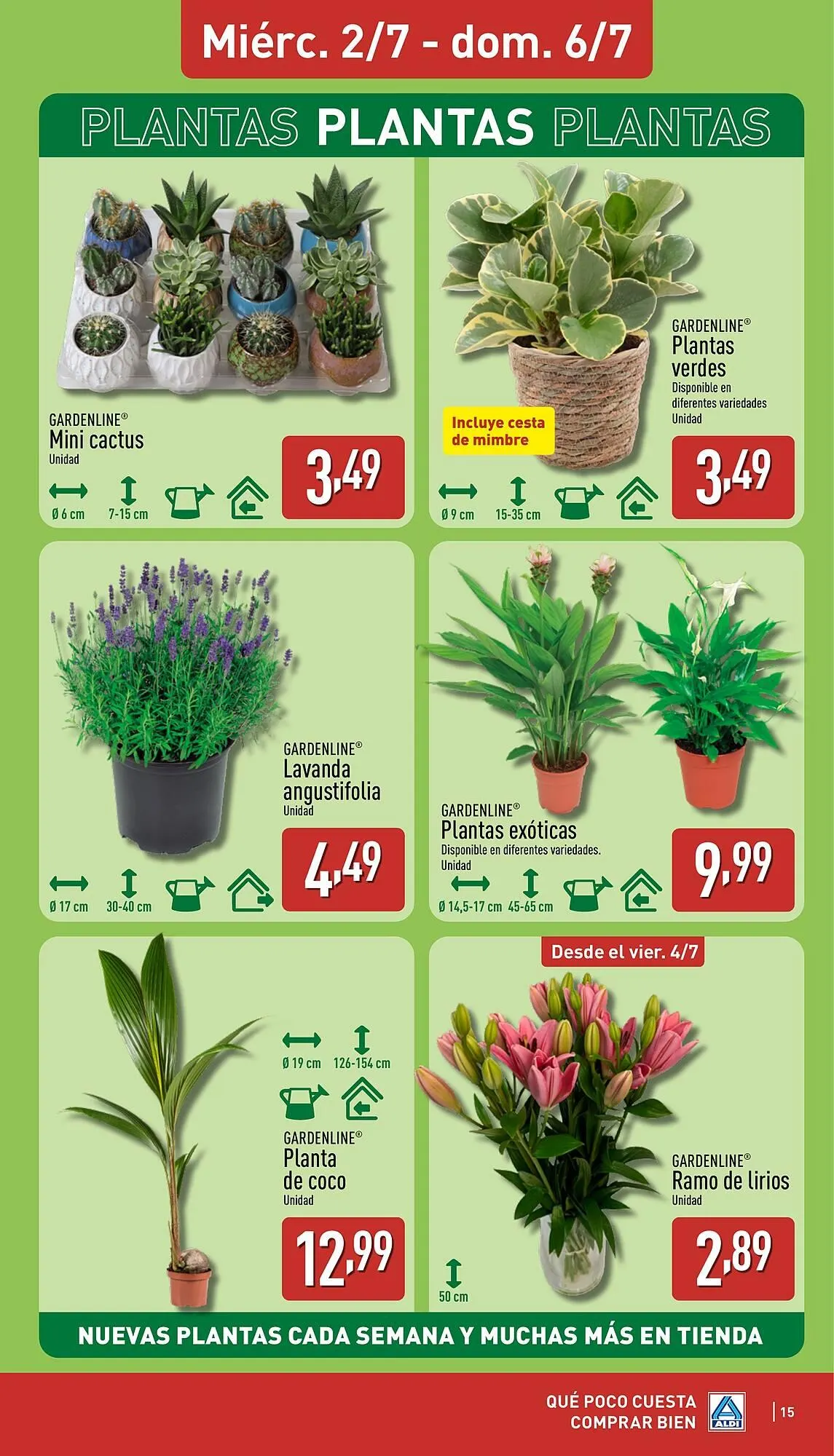 Catálogo de Folleto ALDI 30 de junio al 6 de julio 2025 - Página 15