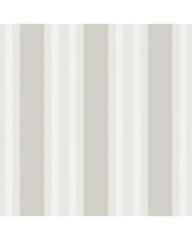 110-1005 POLO STRIPE