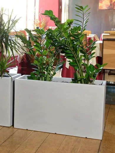 Jardinera rectangular casseta atlantis 100x49 cm