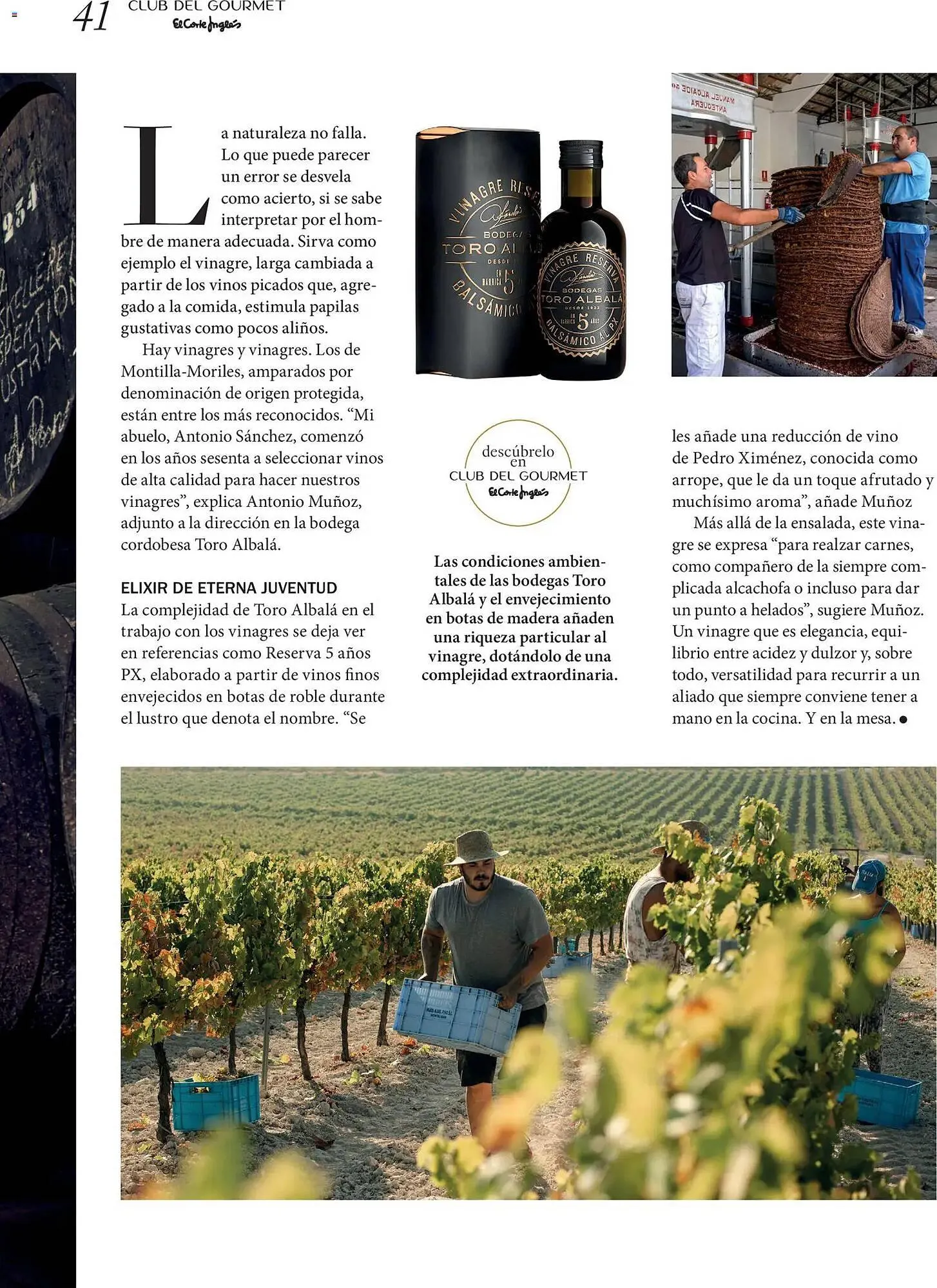 Catálogo de Catálogo El Corte Inglés 1 de abril al 30 de junio 2026 - Página 41