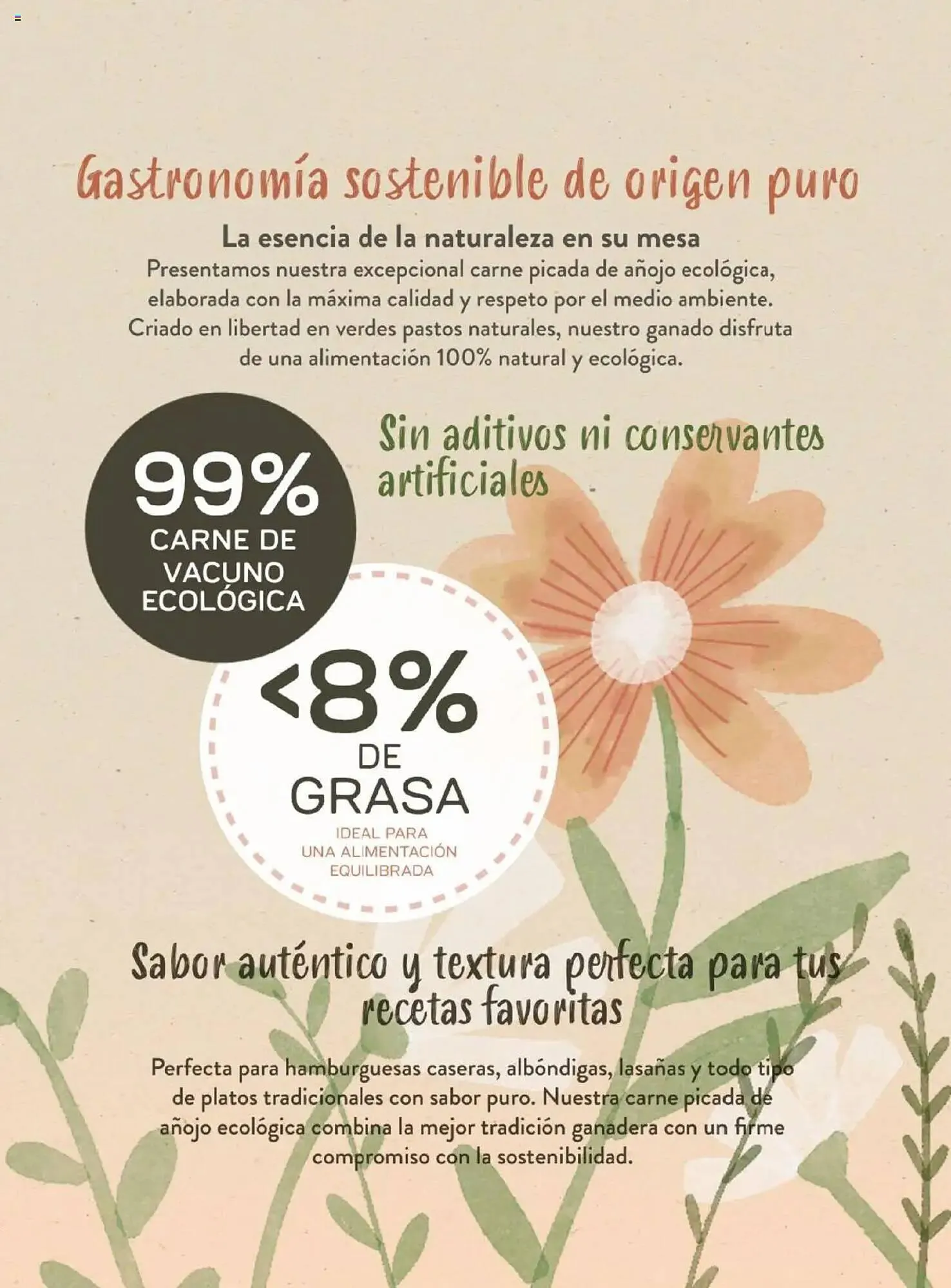 Catálogo de Folleto Costco 8 de abril al 31 de julio 2025 - Página 147