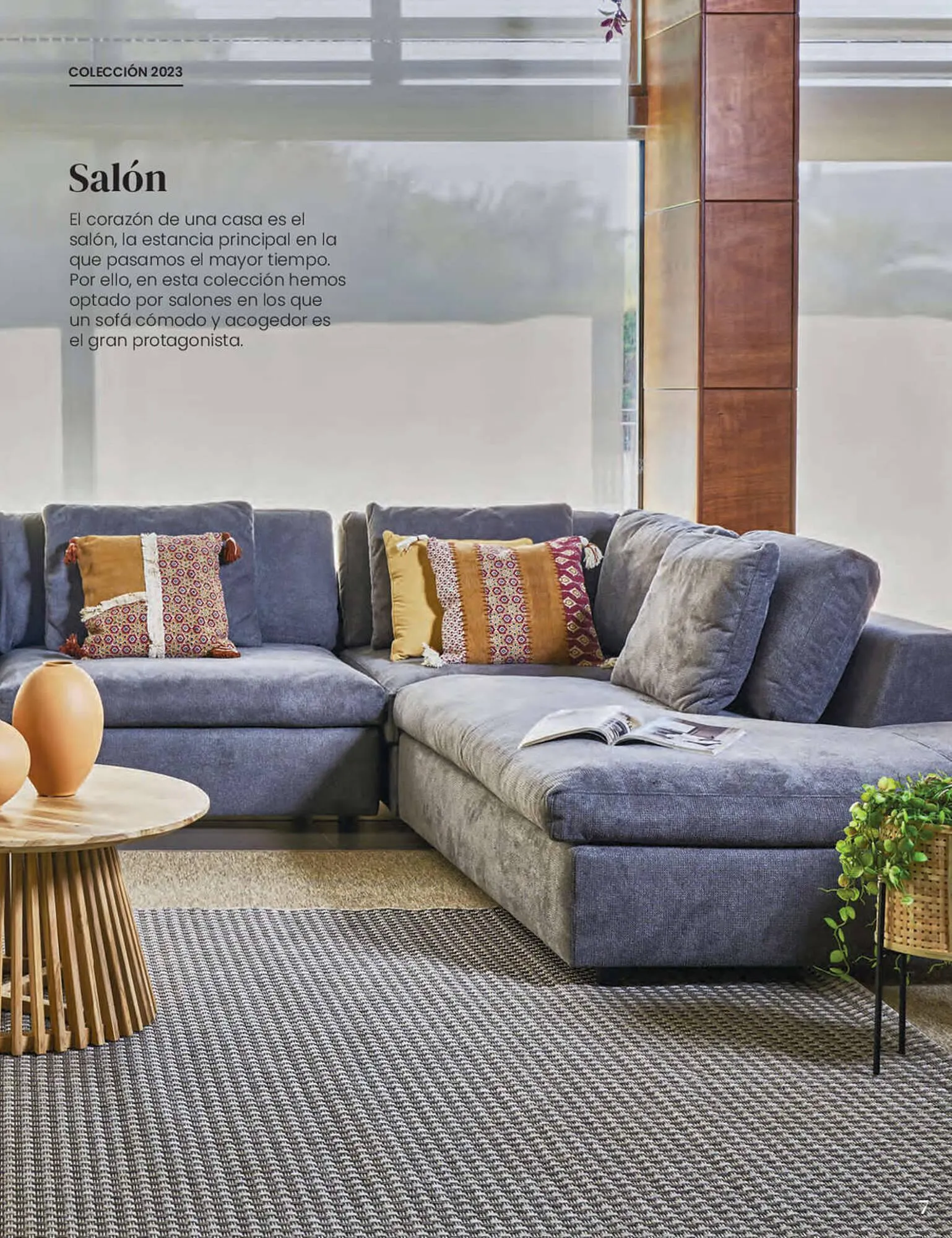 Catálogo de Folleto La Oca 6 de septiembre al 31 de agosto 2023 - Página 7