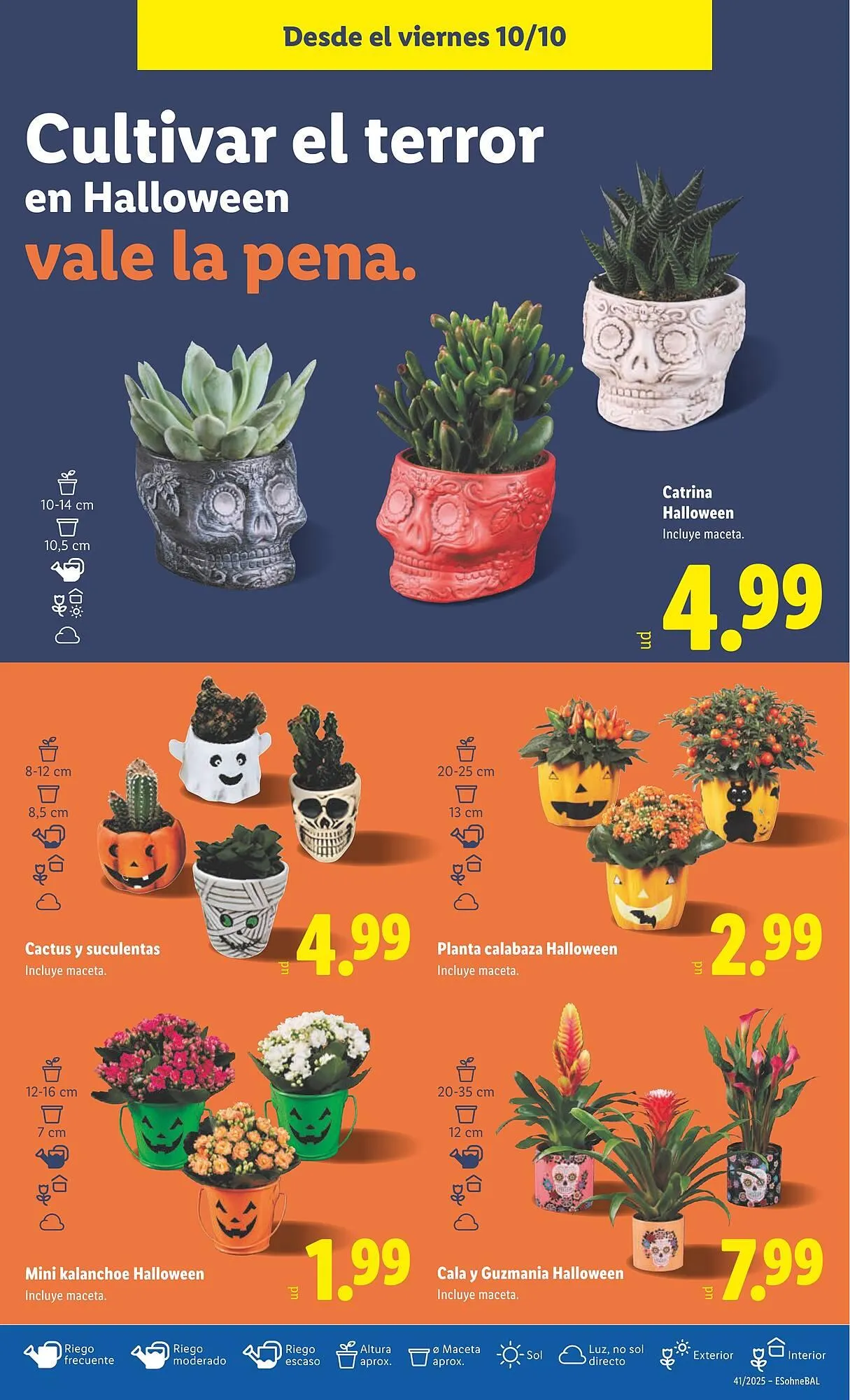 Catálogo de Catálogo Lidl 6 de octubre al 12 de octubre 2025 - Página 35
