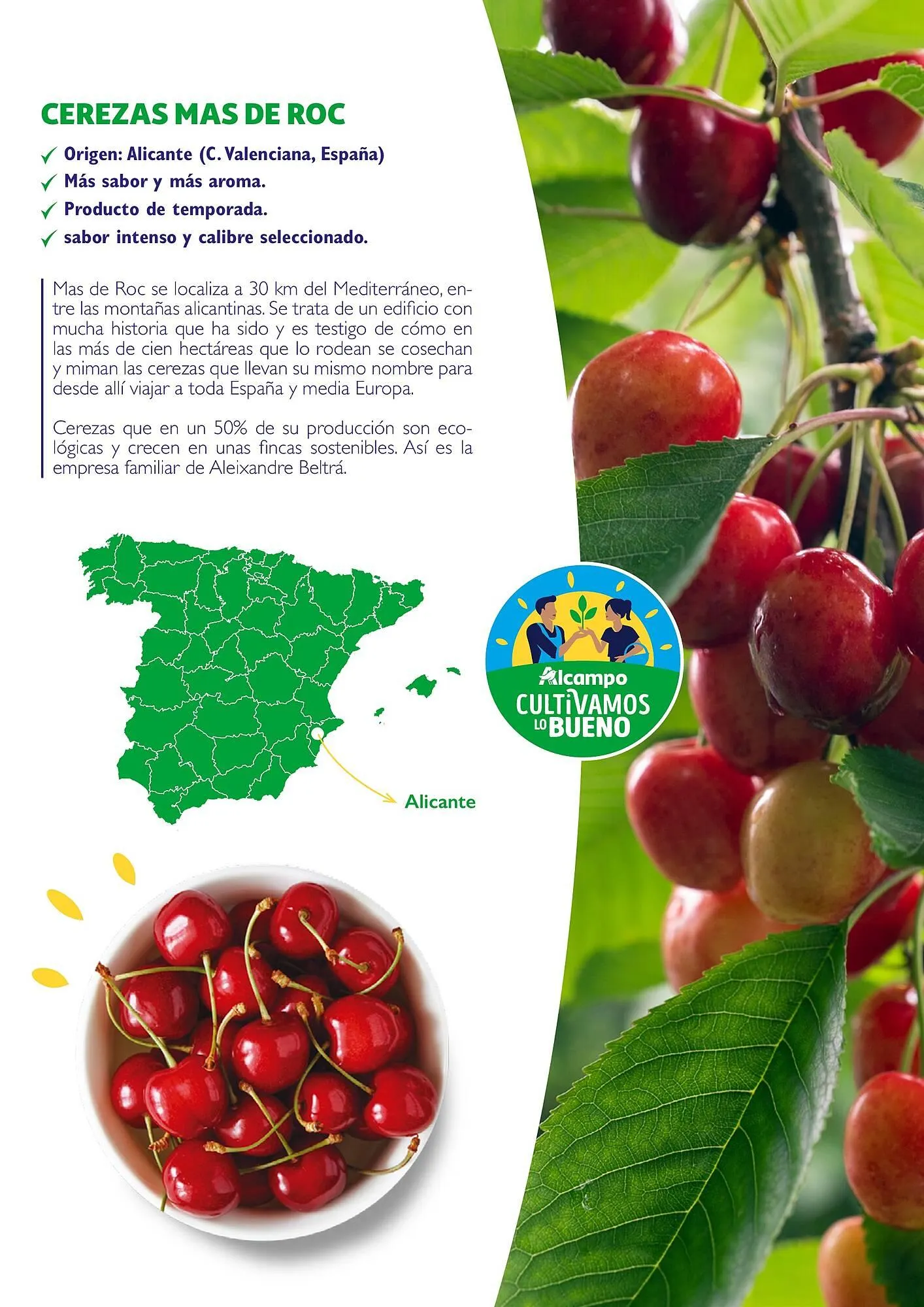 Catálogo de Folleto Alcampo 23 de abril al 31 de diciembre 2025 - Página 32