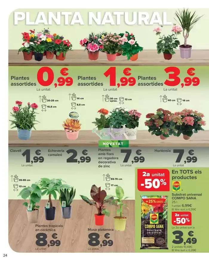 Catálogo de JARDÍN 14 de marzo al 10 de abril 2025 - Página 24