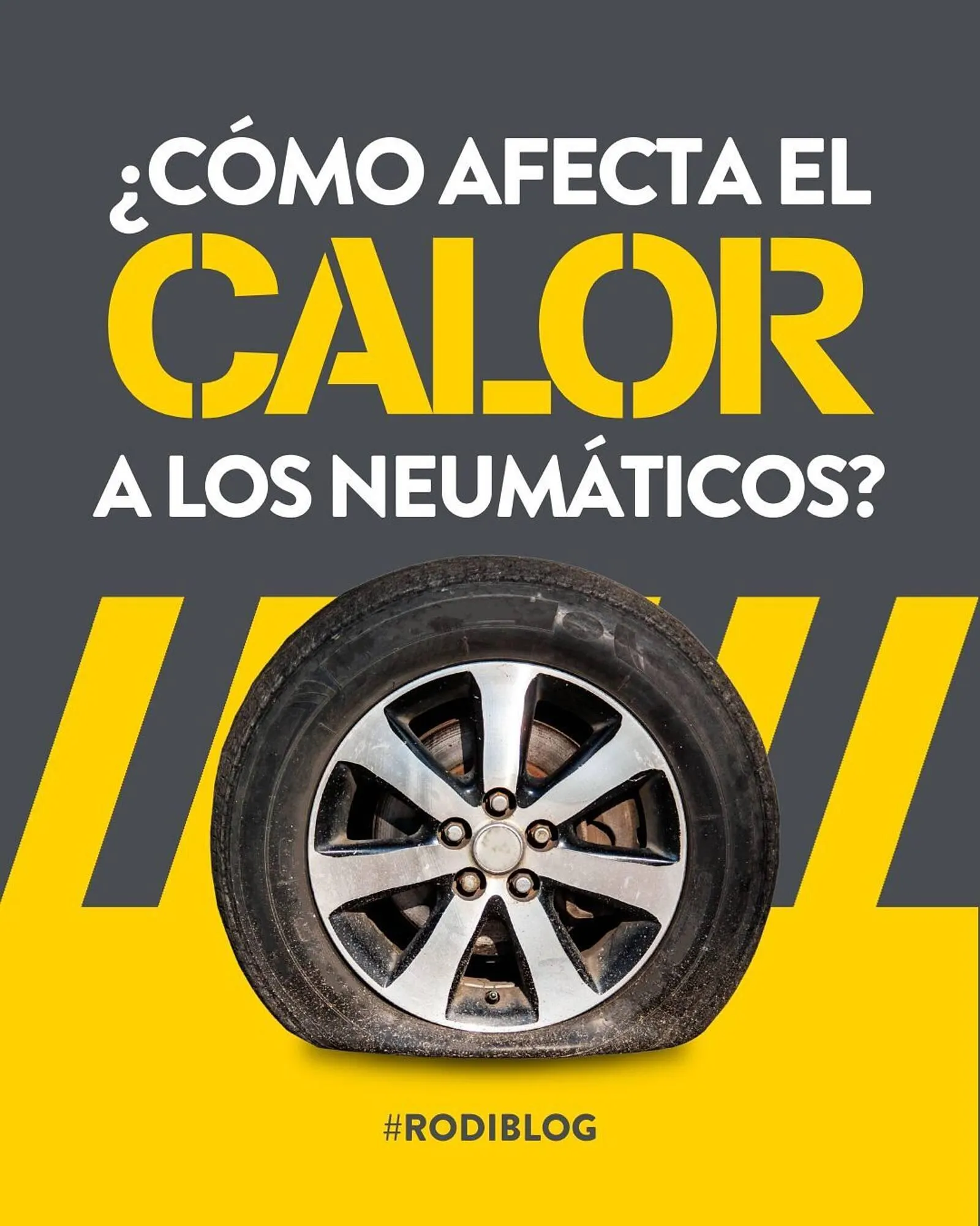 Catálogo de Folleto Rodi 12 de agosto al 25 de agosto 2025 - Página 1