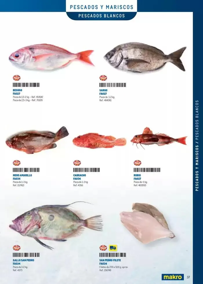 Catálogo de Especia Carta Prat 8 de abril al 31 de diciembre 2025 - Página 37