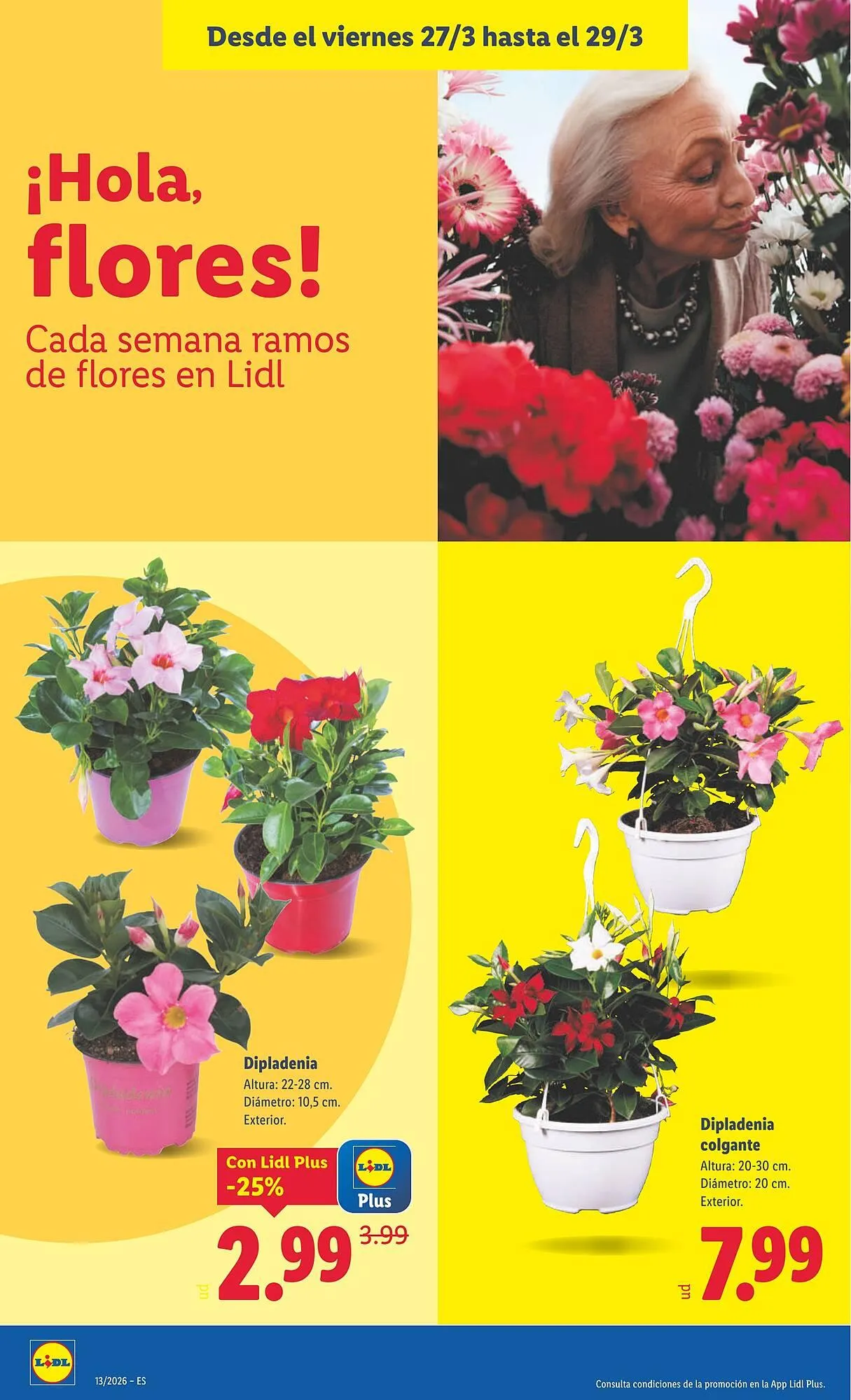 Catálogo de Catálogo Lidl 23 de marzo al 29 de marzo 2026 - Página 28