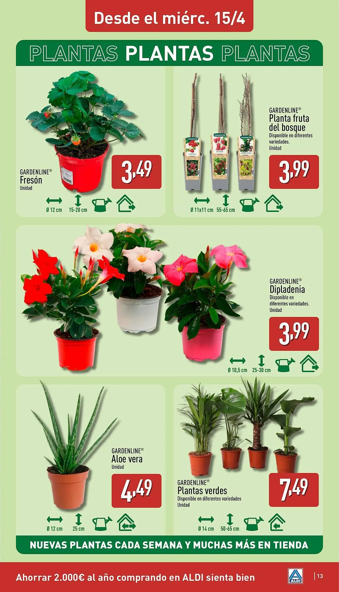 Catálogo de Folleto ALDI 13 de abril al 19 de abril 2026 - Página 13