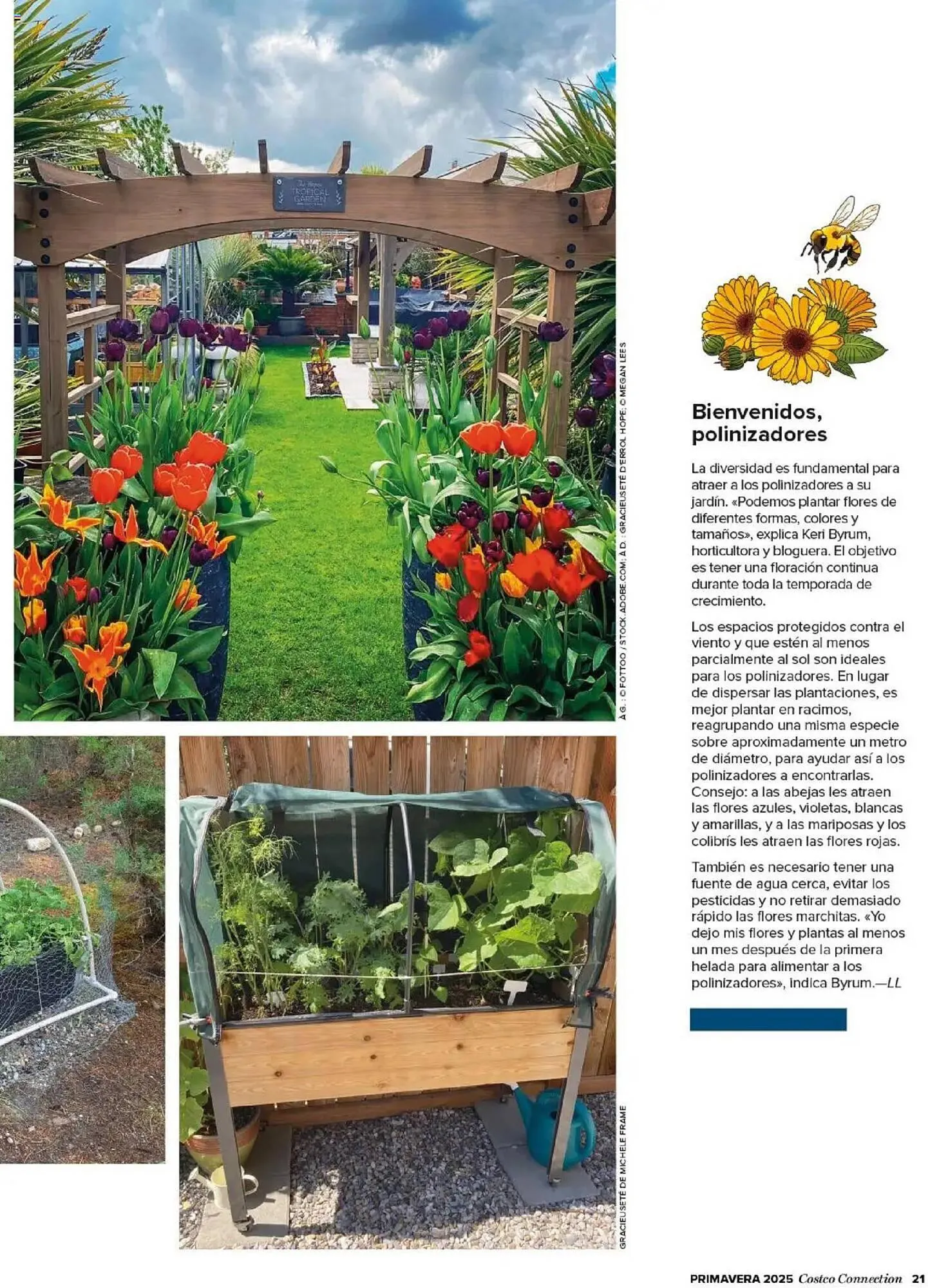 Catálogo de Folleto Costco 8 de abril al 31 de julio 2025 - Página 21