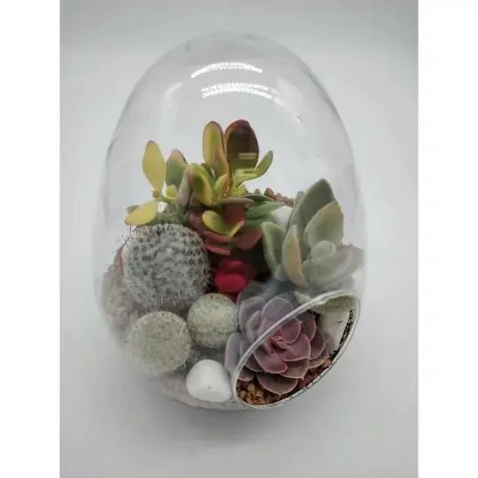 COMPOSICIÓN HUEVO 16X26CM