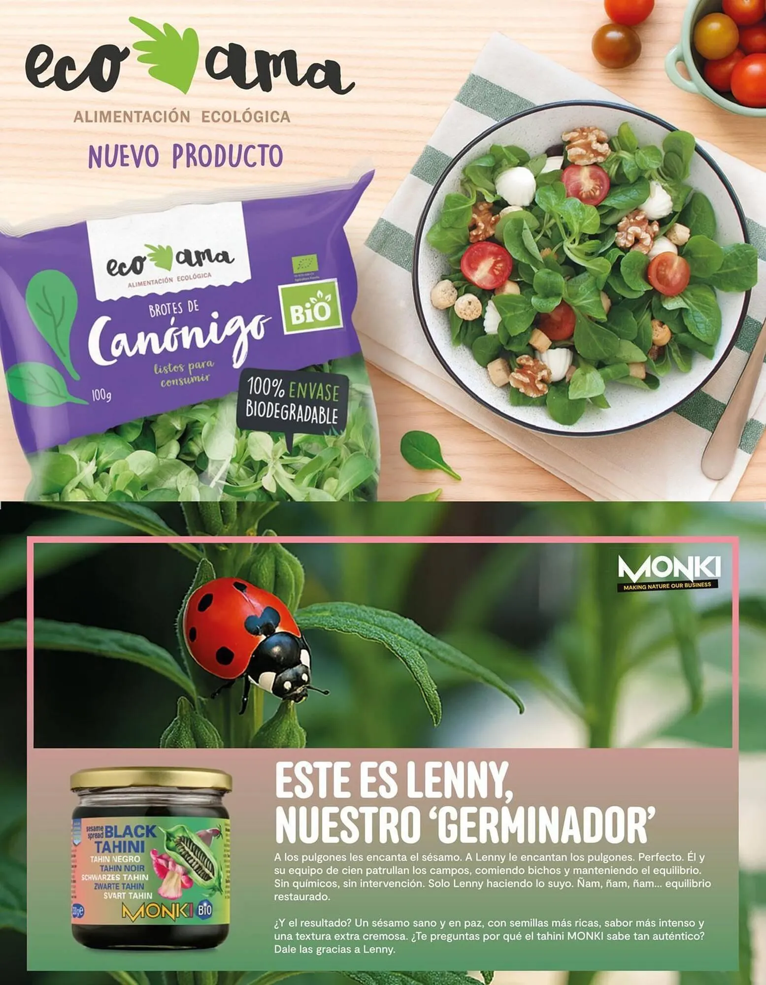 Catálogo de Folleto Veritas 1 de julio al 31 de agosto 2025 - Página 38