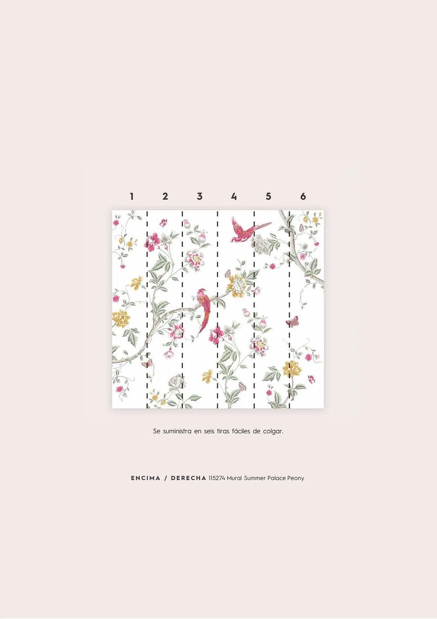 Catálogo de Folleto Laura Ashley 20 de julio al 31 de julio 2023 - Página 215