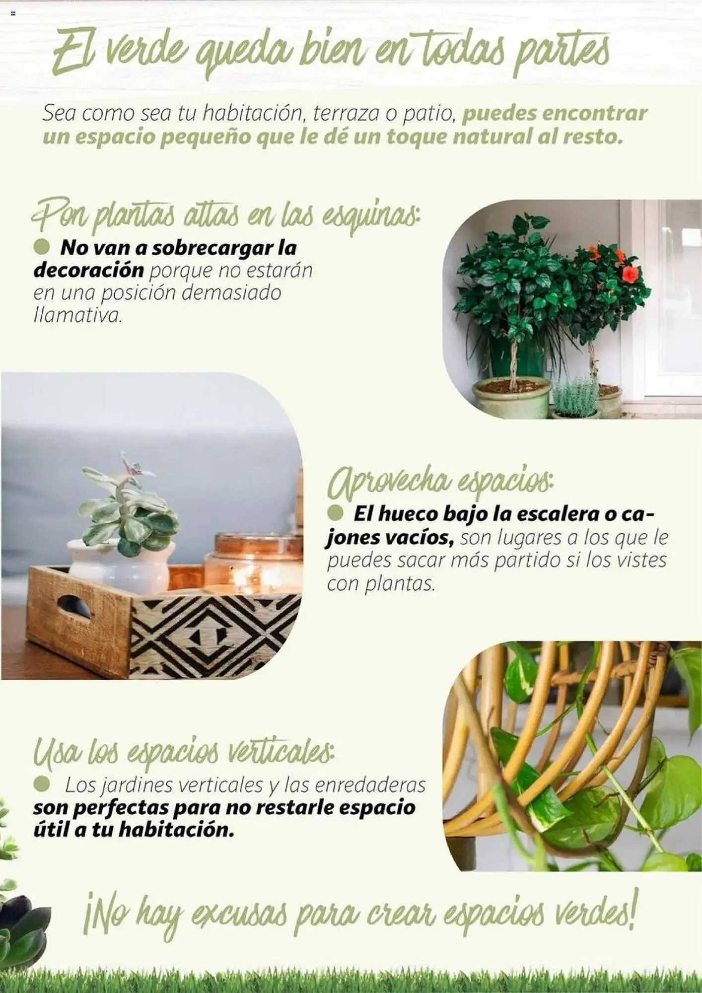 Catálogo de Folleto Alcampo 11 de febrero al 31 de diciembre 2025 - Página 21