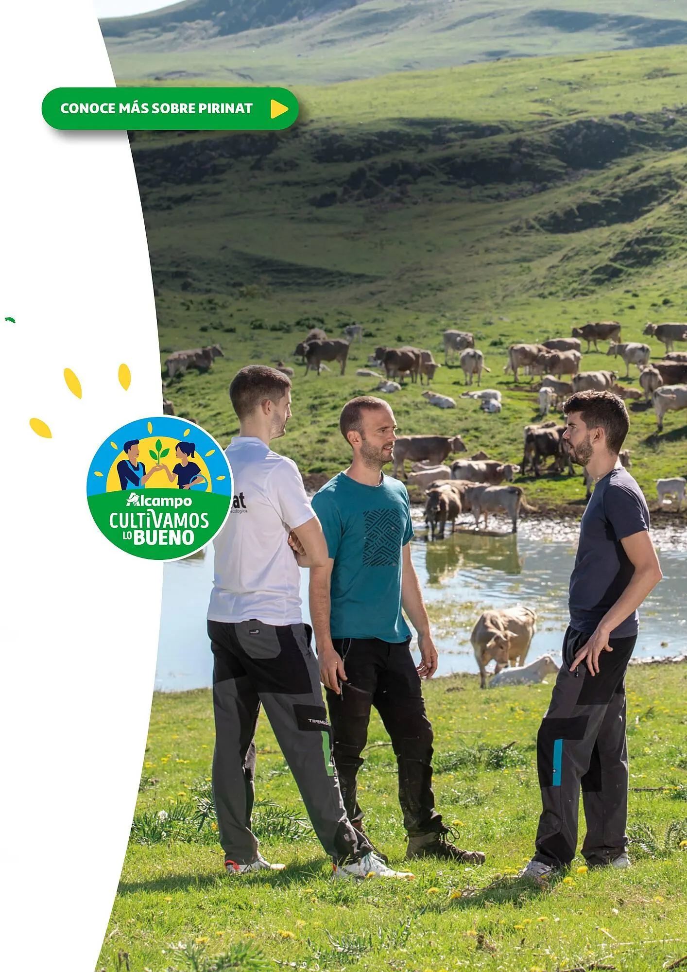 Catálogo de Folleto Alcampo 23 de abril al 31 de diciembre 2025 - Página 7