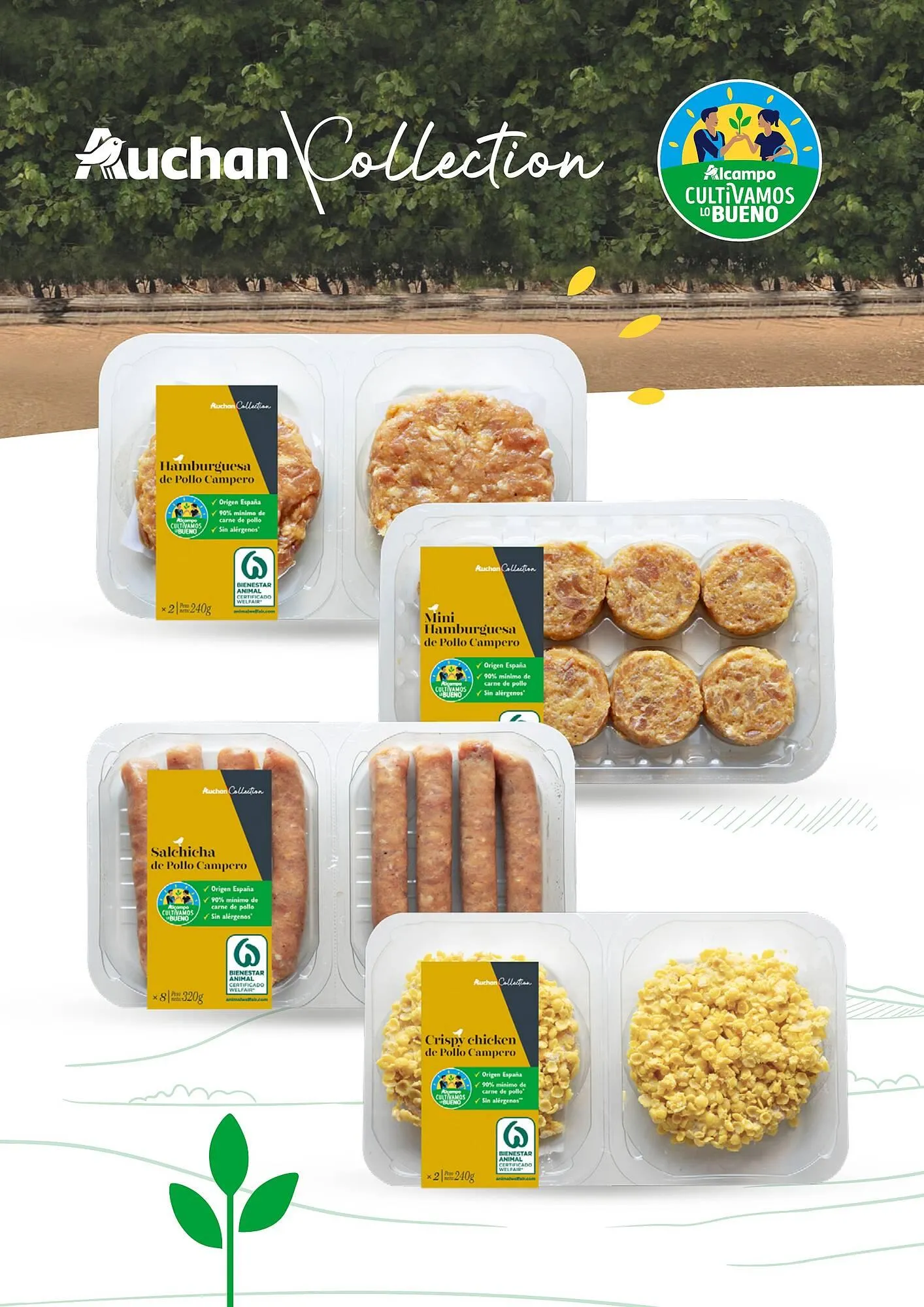 Catálogo de Folleto Alcampo 23 de abril al 31 de diciembre 2025 - Página 10