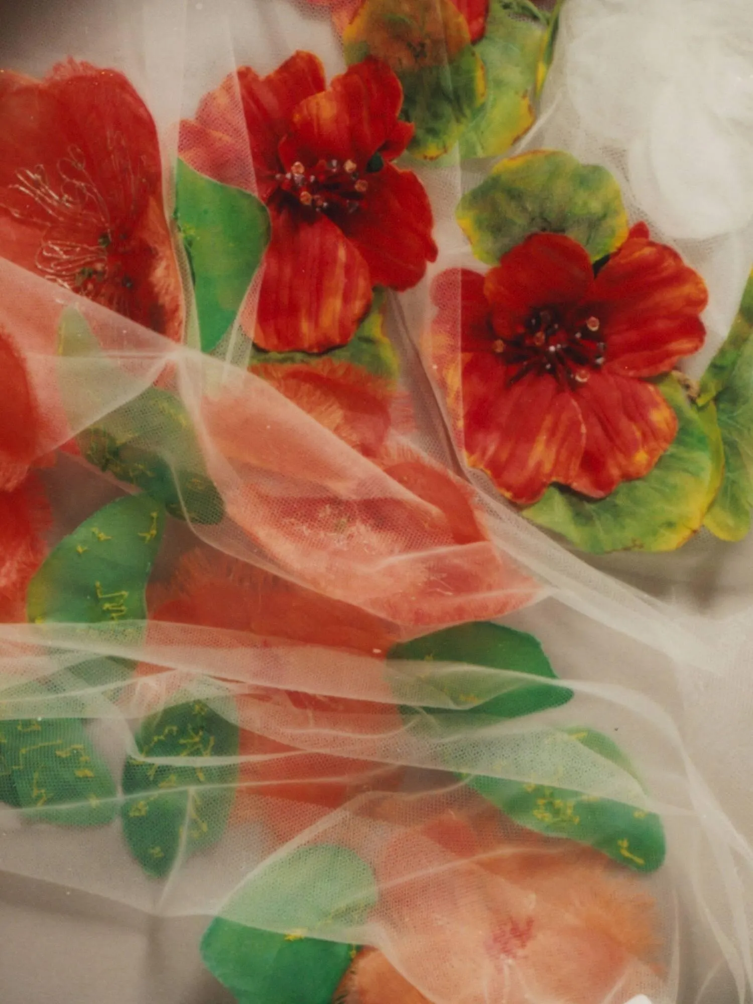 Catálogo de Folleto Dior 28 de enero al 7 de marzo 2026 - Página 4