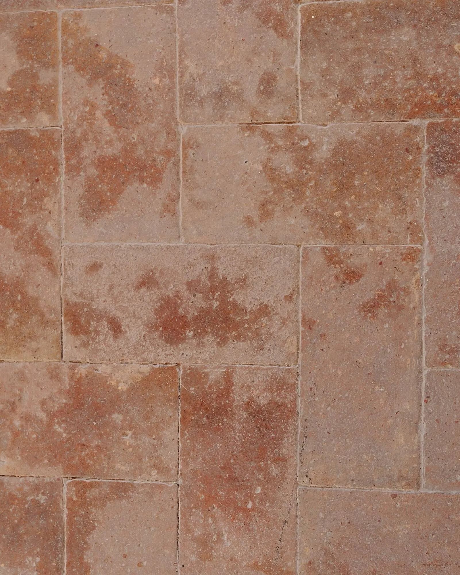 Catálogo de Folleto ese O ese 21 de febrero al 5 de abril 2025 - Página 3