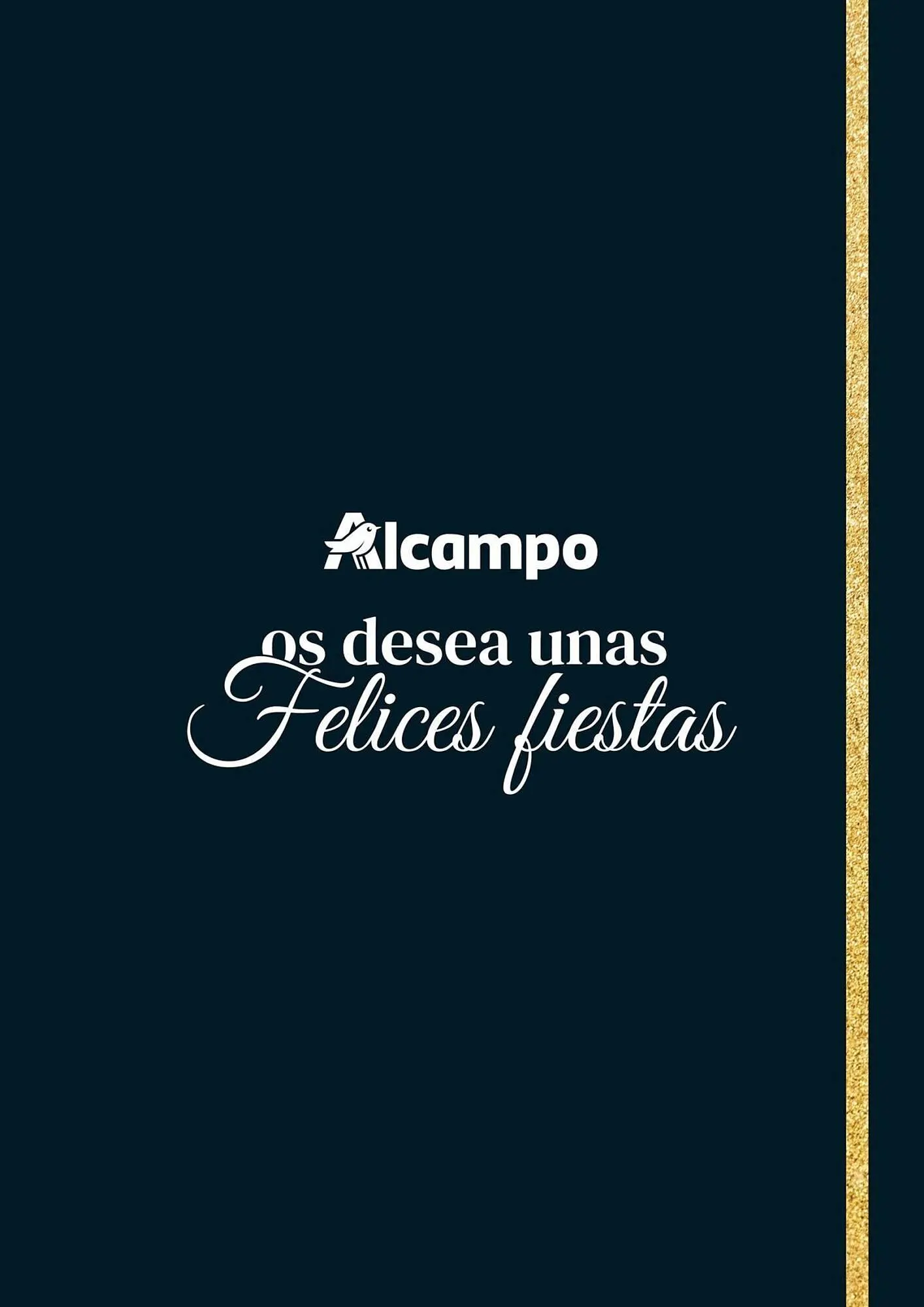 Catálogo de Folleto Alcampo 15 de diciembre al 31 de diciembre 2025 - Página 19