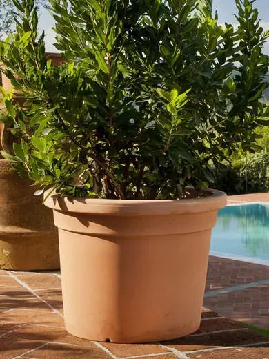 Jardinera cilindrica Liscia de resina