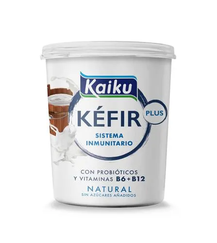 KÉFIR NATURAL 350G