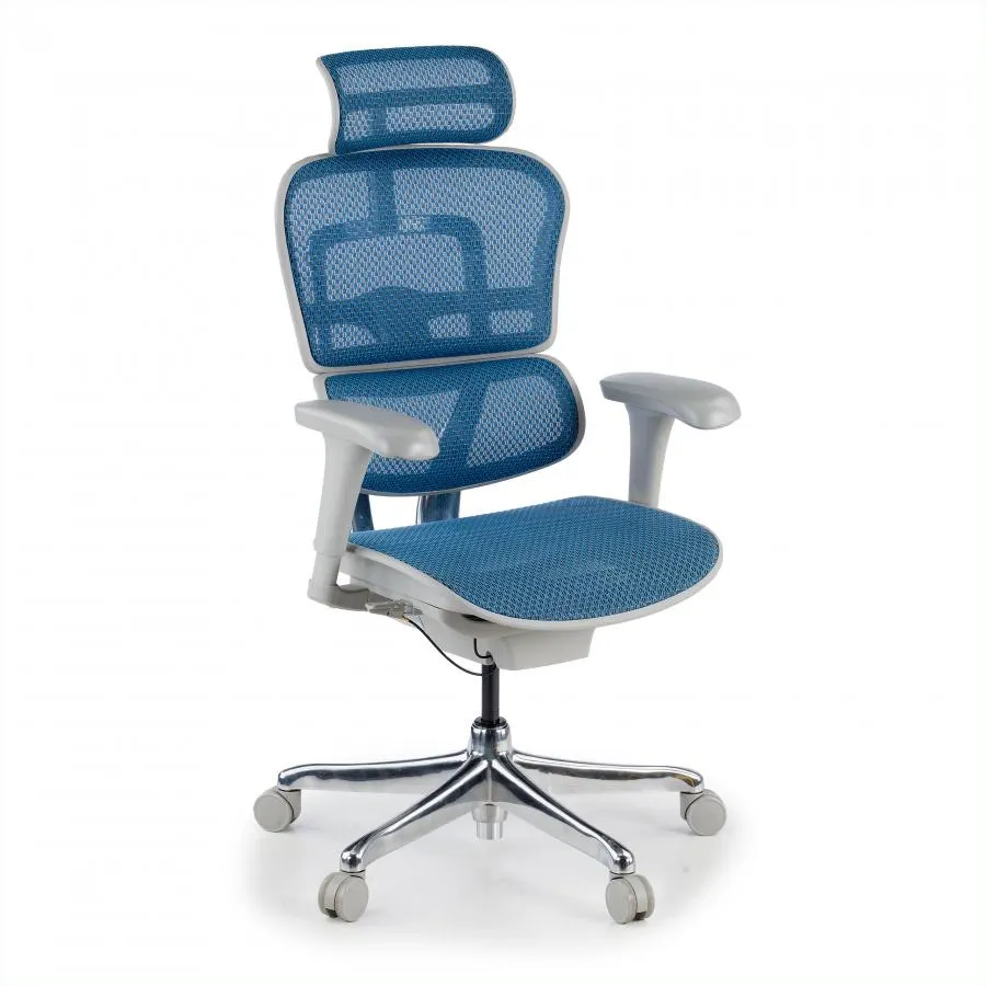 Silla ergonómica ejecutiva Ergohuman Edition I, estructura blanca - Blanco/Azul
