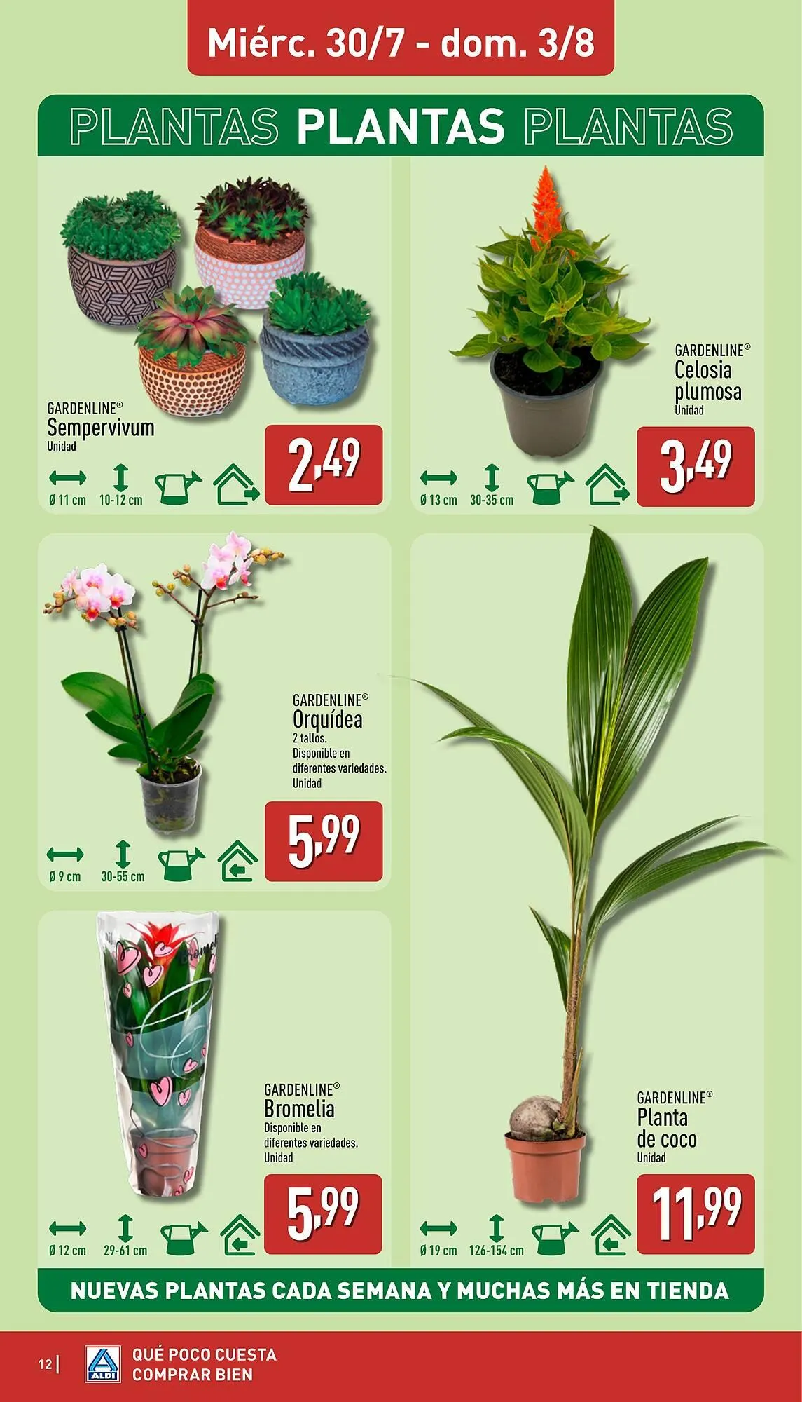 Catálogo de Folleto ALDI 28 de julio al 3 de agosto 2025 - Página 12