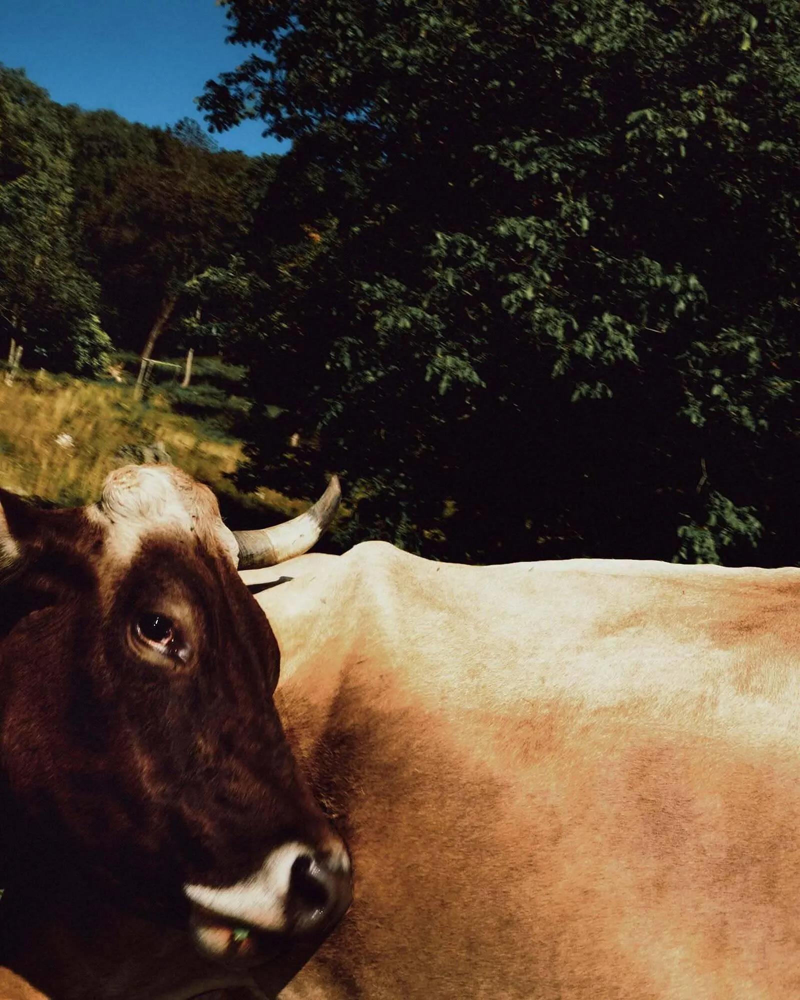 Catálogo de Folleto Napapijri 19 de abril al 6 de junio 2026 - Página 2