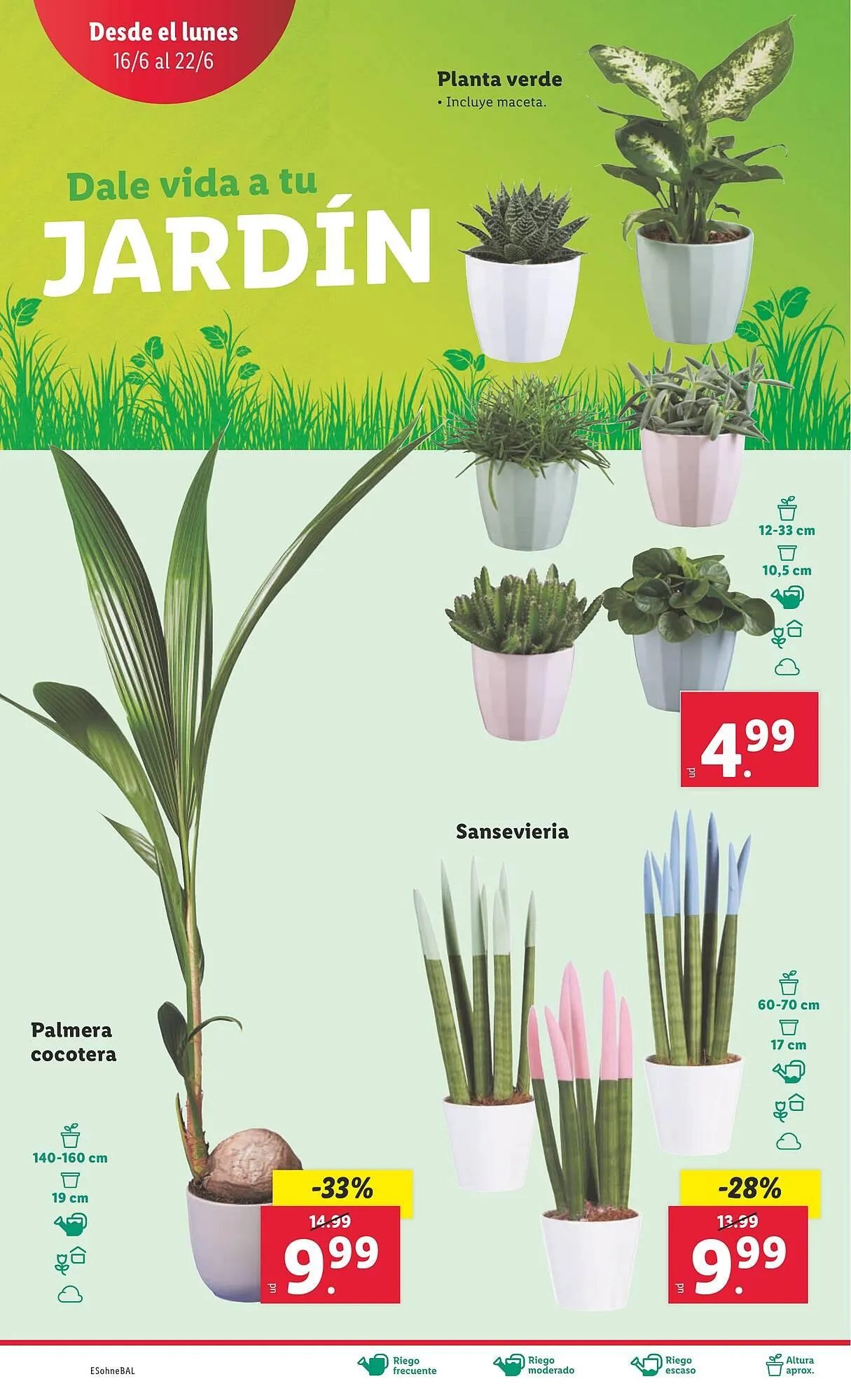 Catálogo de Folleto Lidl 16 de junio al 22 de junio 2025 - Página 28