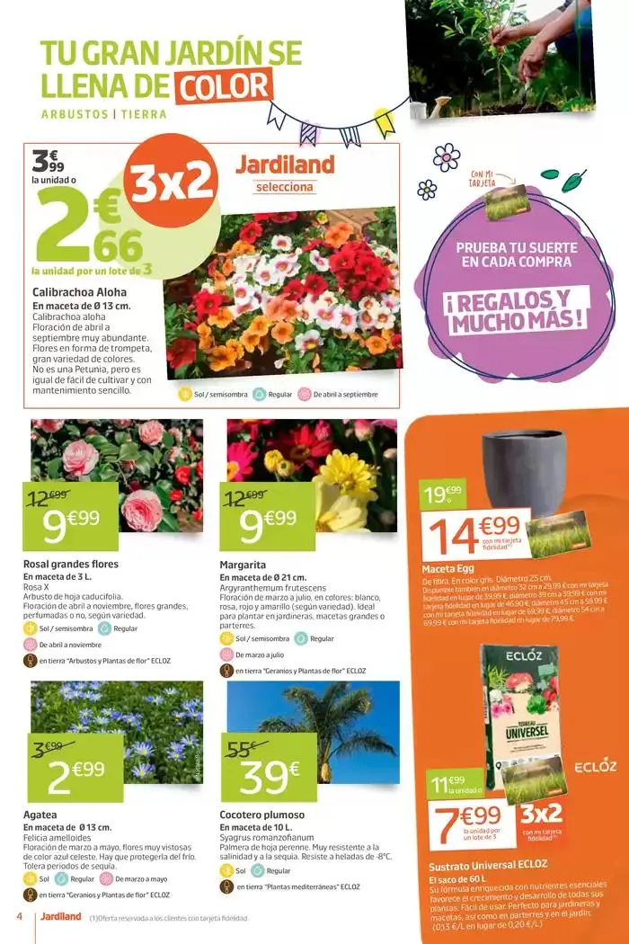 Catálogo de Jardi'Versario 15 de abril al 21 de abril 2025 - Página 4