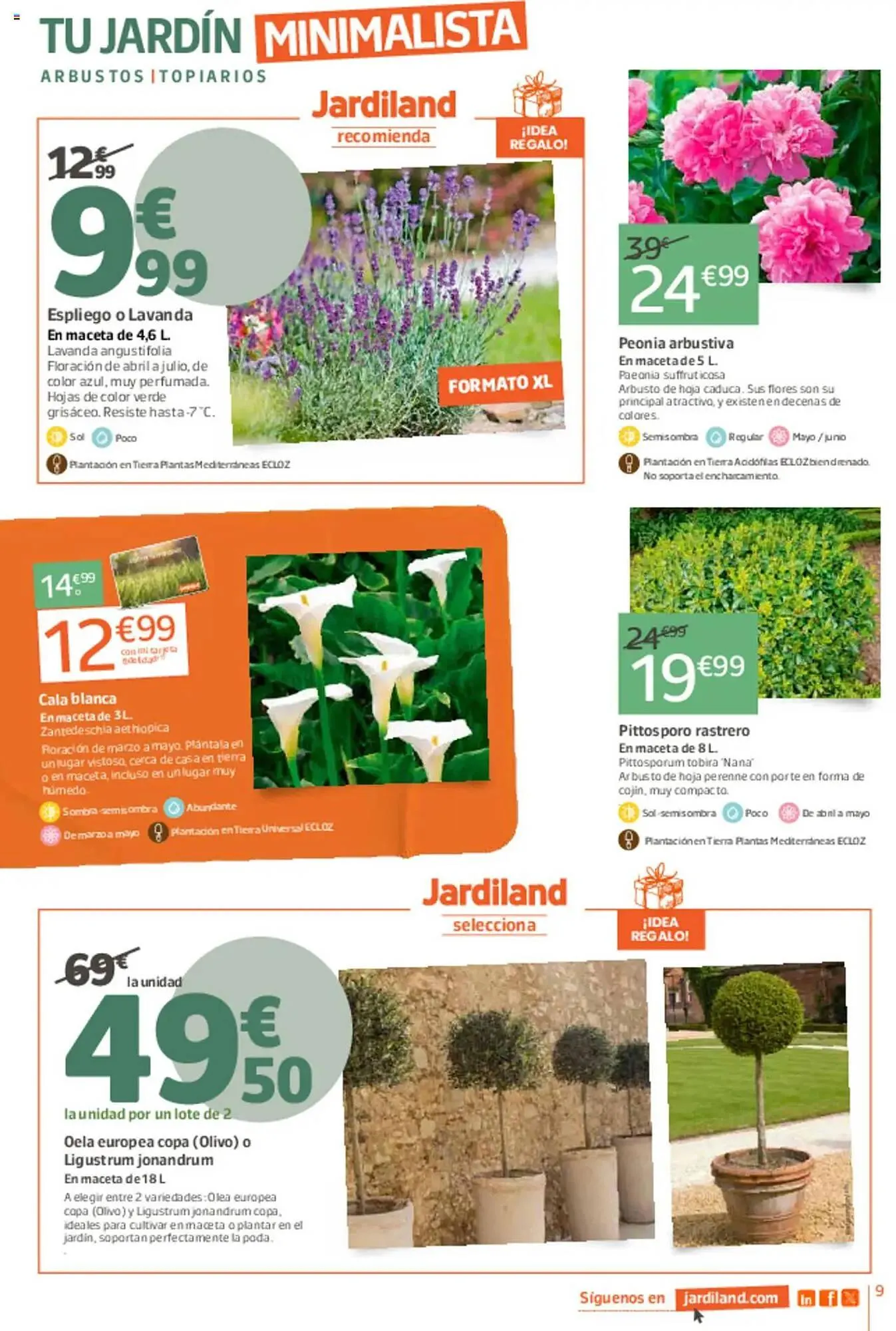 Catálogo de Folleto Jardiland 6 de marzo al 23 de marzo 2025 - Página 9