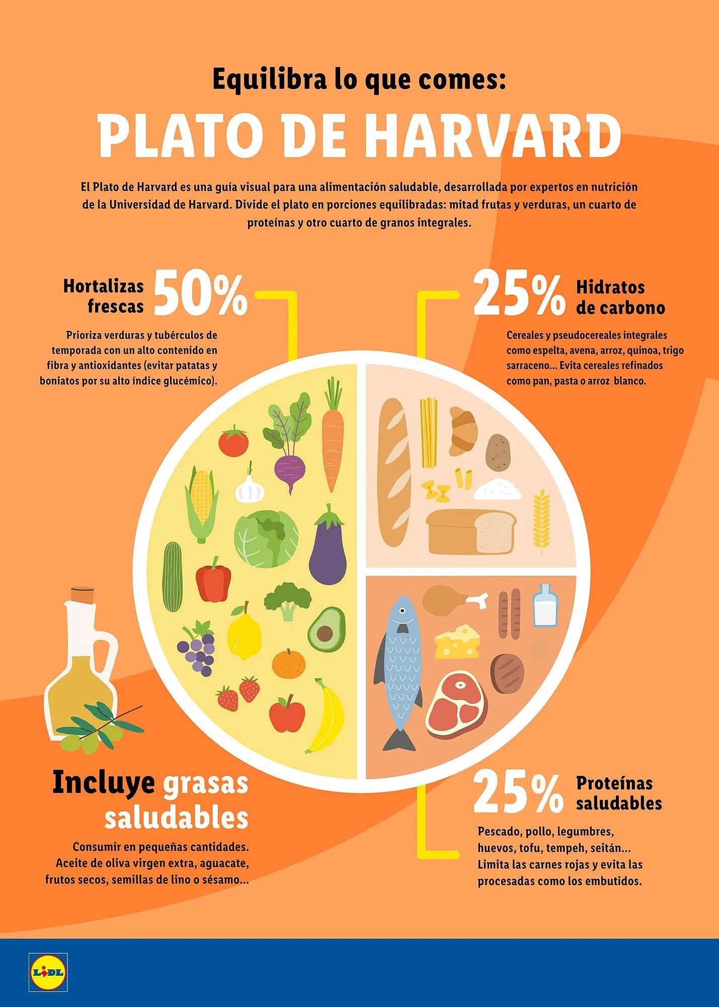 Catálogo de Folleto Lidl 26 de mayo al 29 de junio 2025 - Página 14
