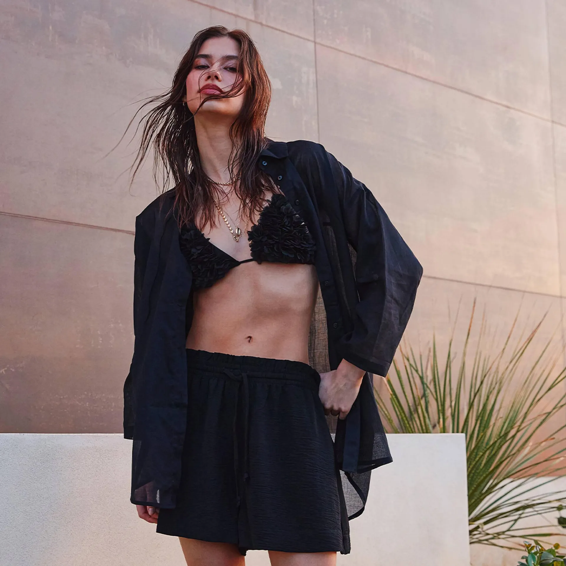 Catálogo de Folleto Terranova 25 de junio al 8 de julio 2025 - Página 2