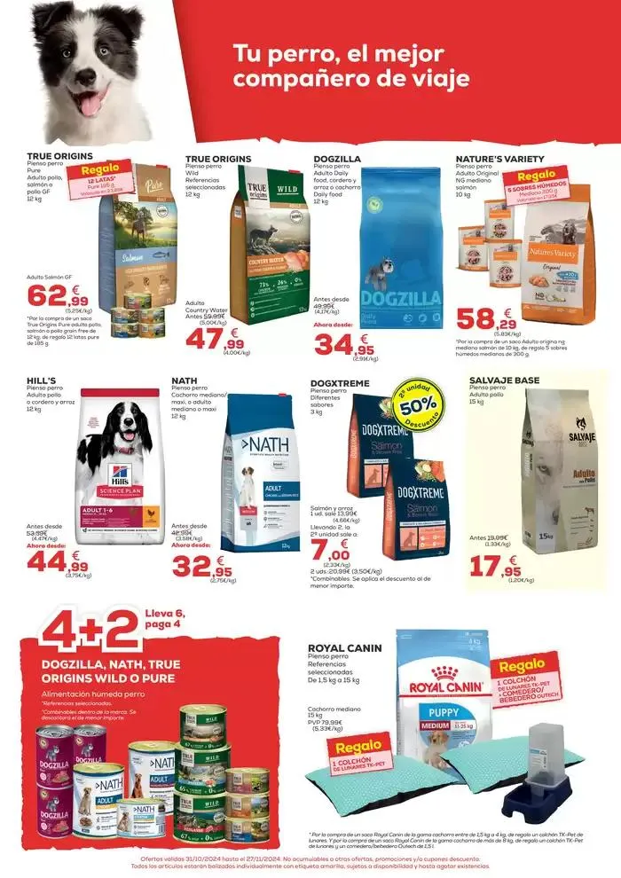 Catálogo de ¡Abrimos! KIWOKO Pamplona Olaz 31 de octubre al 27 de noviembre 2024 - Página 2