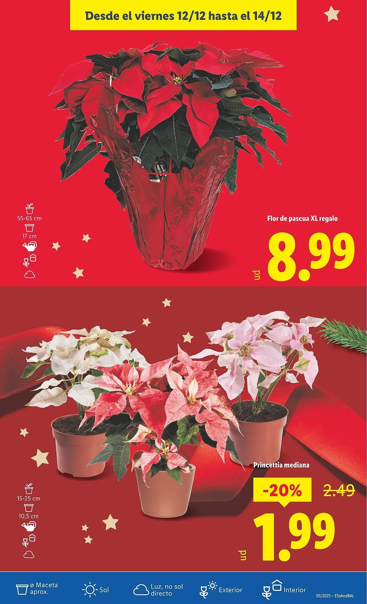 Catálogo de Catálogo Lidl 8 de diciembre al 14 de diciembre 2025 - Página 53