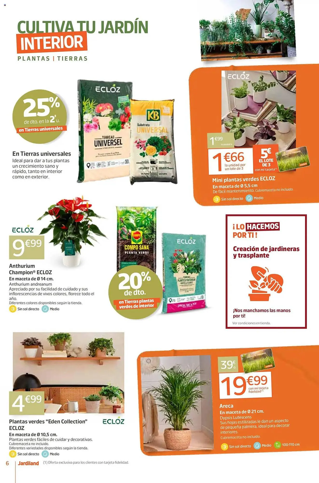 Catálogo de Catálogo Jardiland 5 de febrero al 16 de febrero 2026 - Página 6