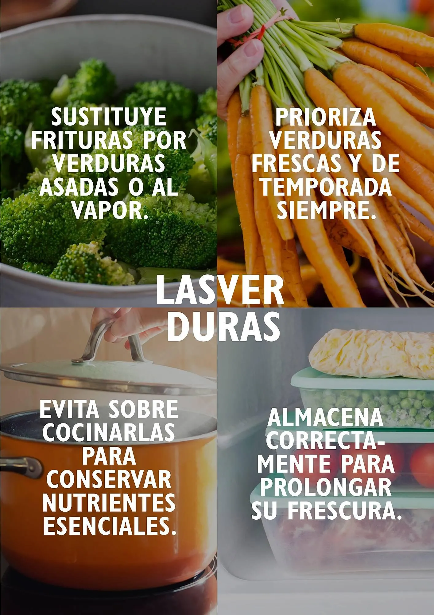 Catálogo de Folleto Alcampo 23 de abril al 31 de diciembre 2025 - Página 41