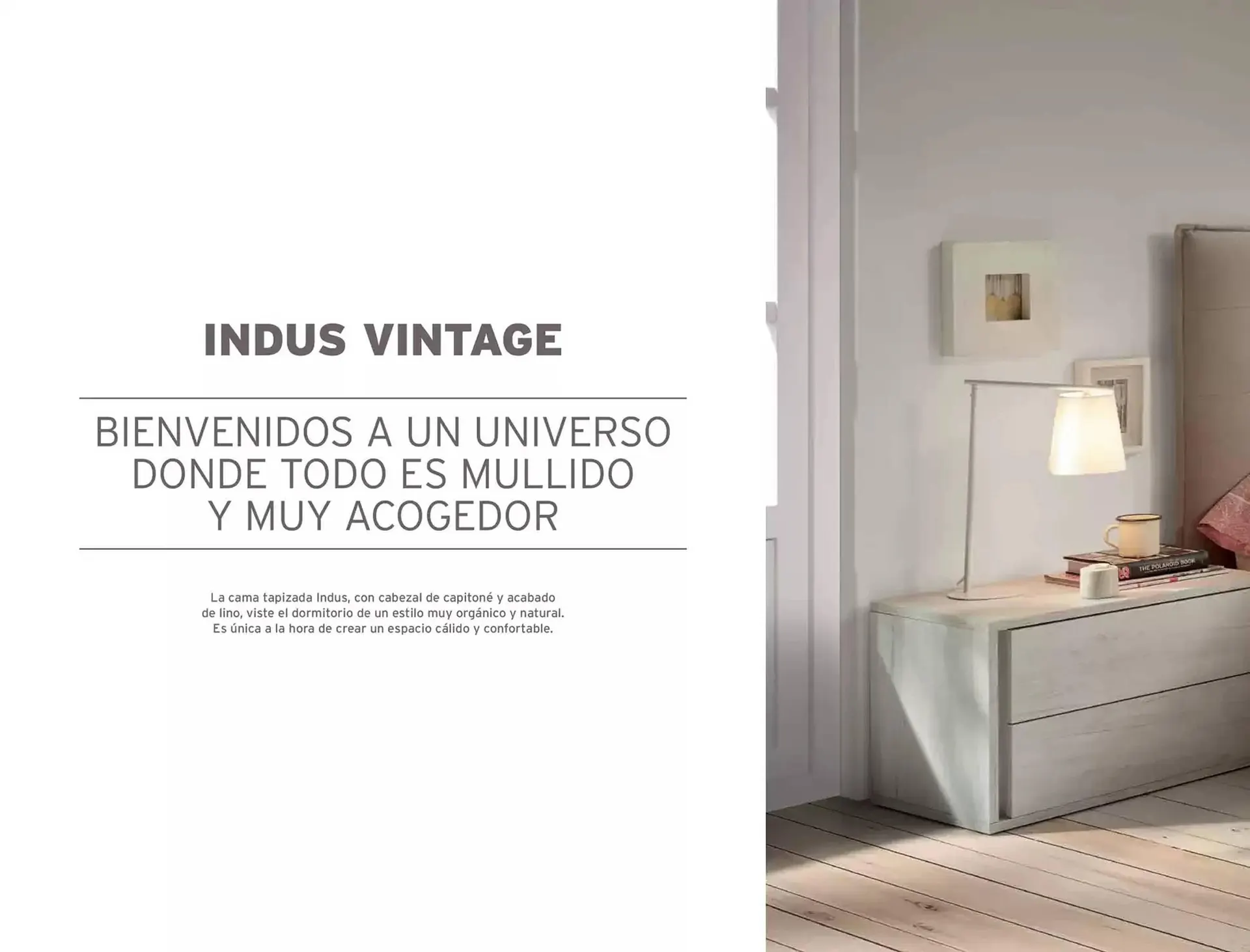 Catálogo de Folleto Kibuc 11 de noviembre al 11 de noviembre 2025 - Página 2