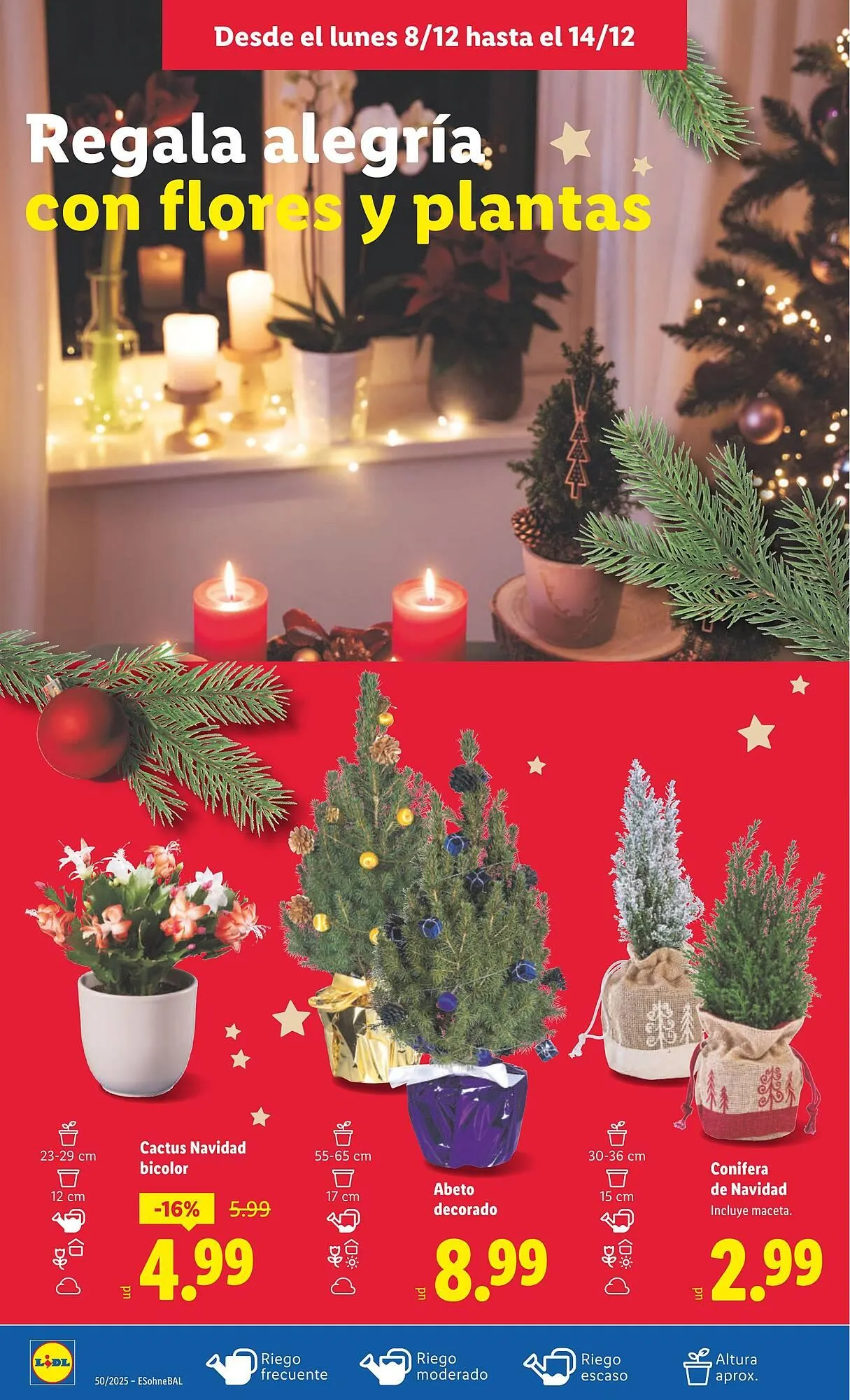 Catálogo de Catálogo Lidl 8 de diciembre al 14 de diciembre 2025 - Página 52