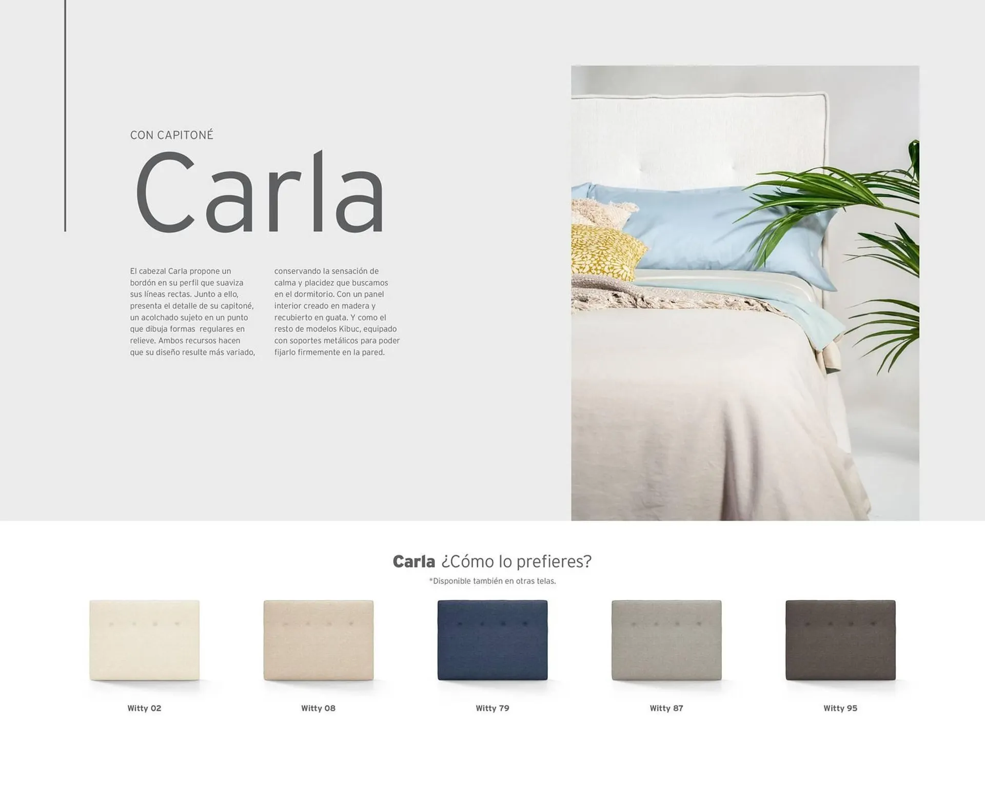 Catálogo de Catálogo Kibuc 5 de enero al 31 de diciembre 2026 - Página 5